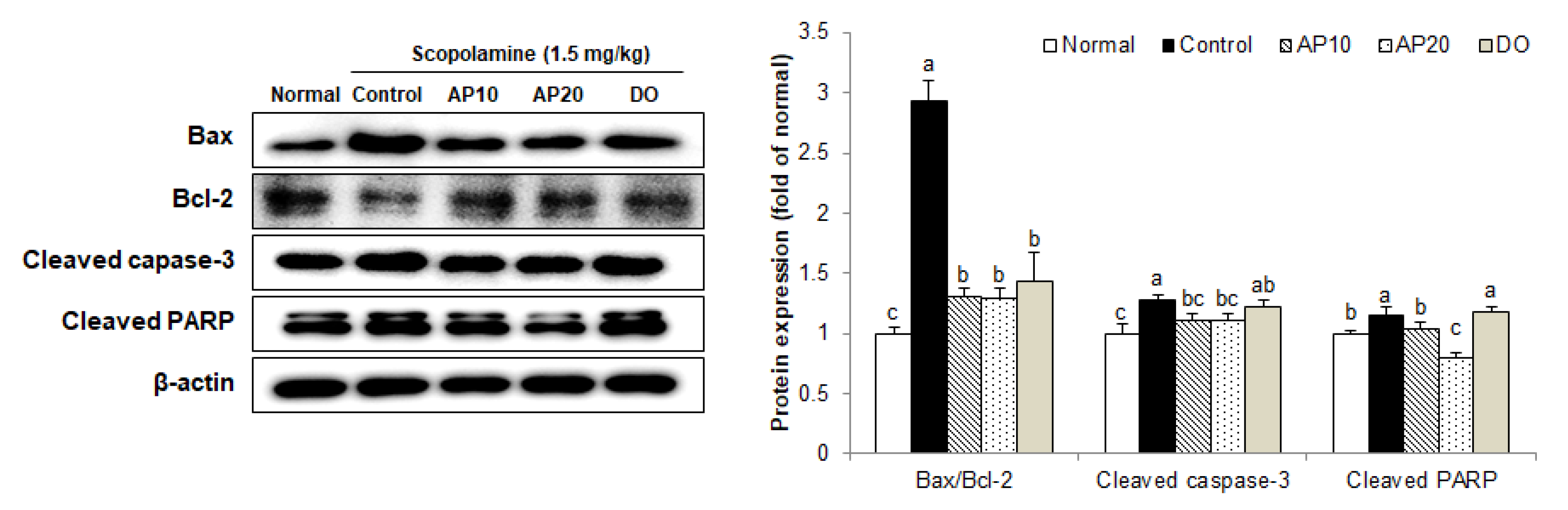 Molecules 26 05192 g005