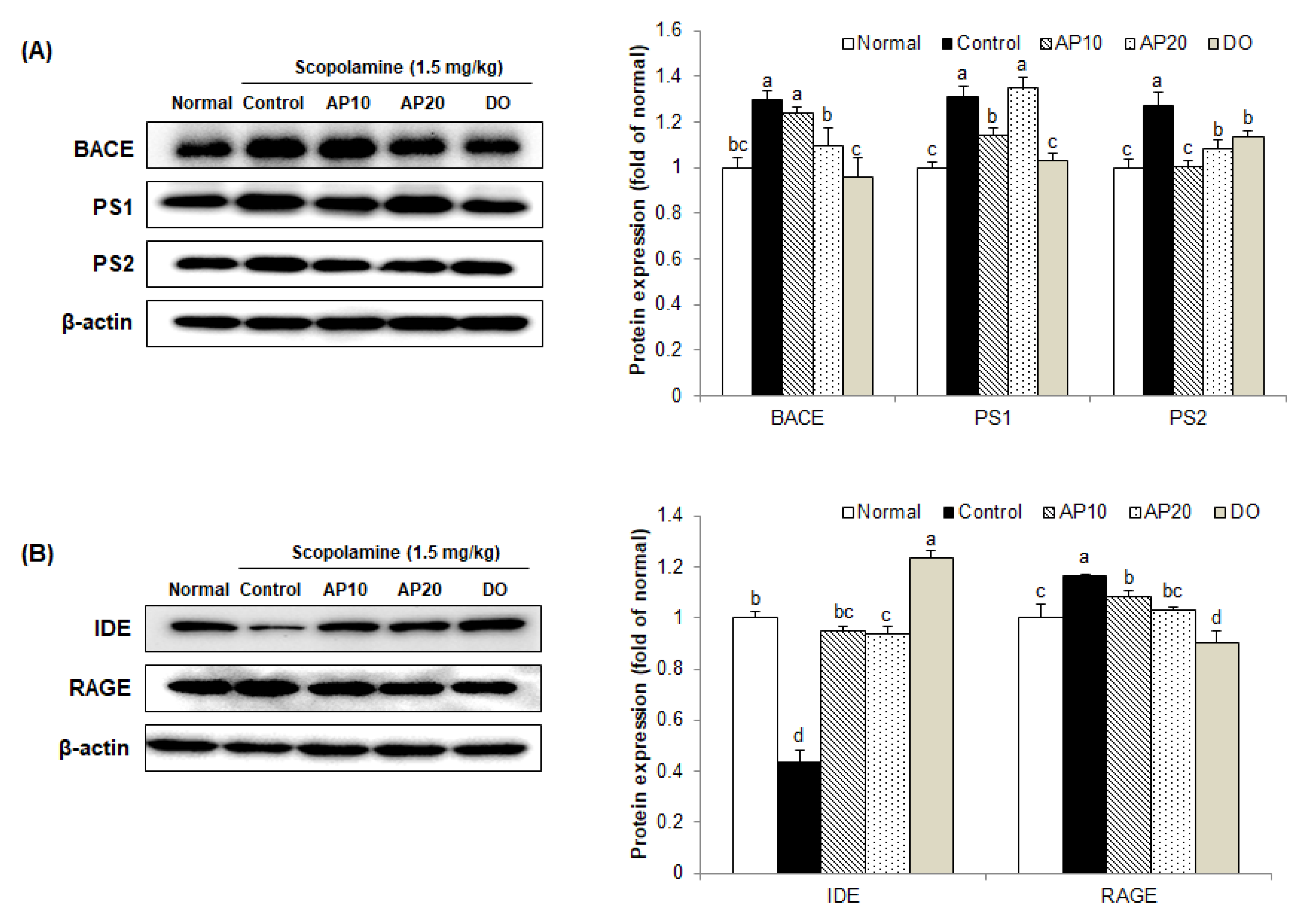 Molecules 26 05192 g006