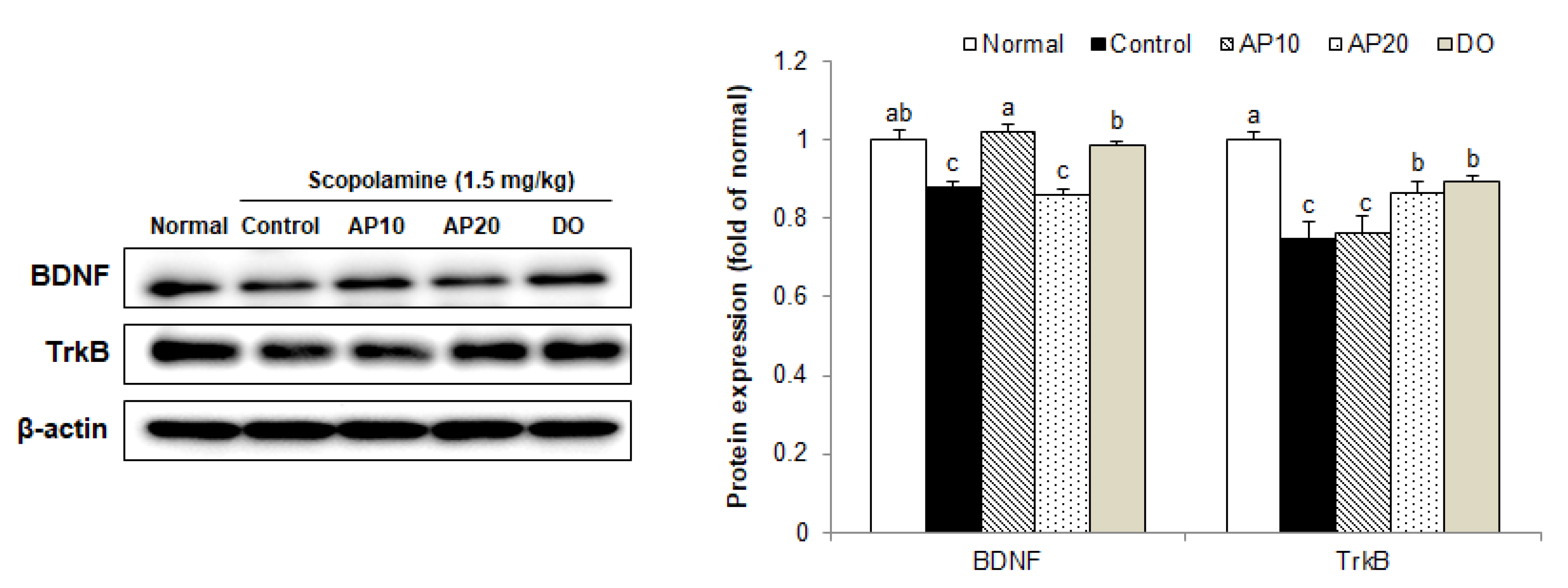 Molecules 26 05192 g007