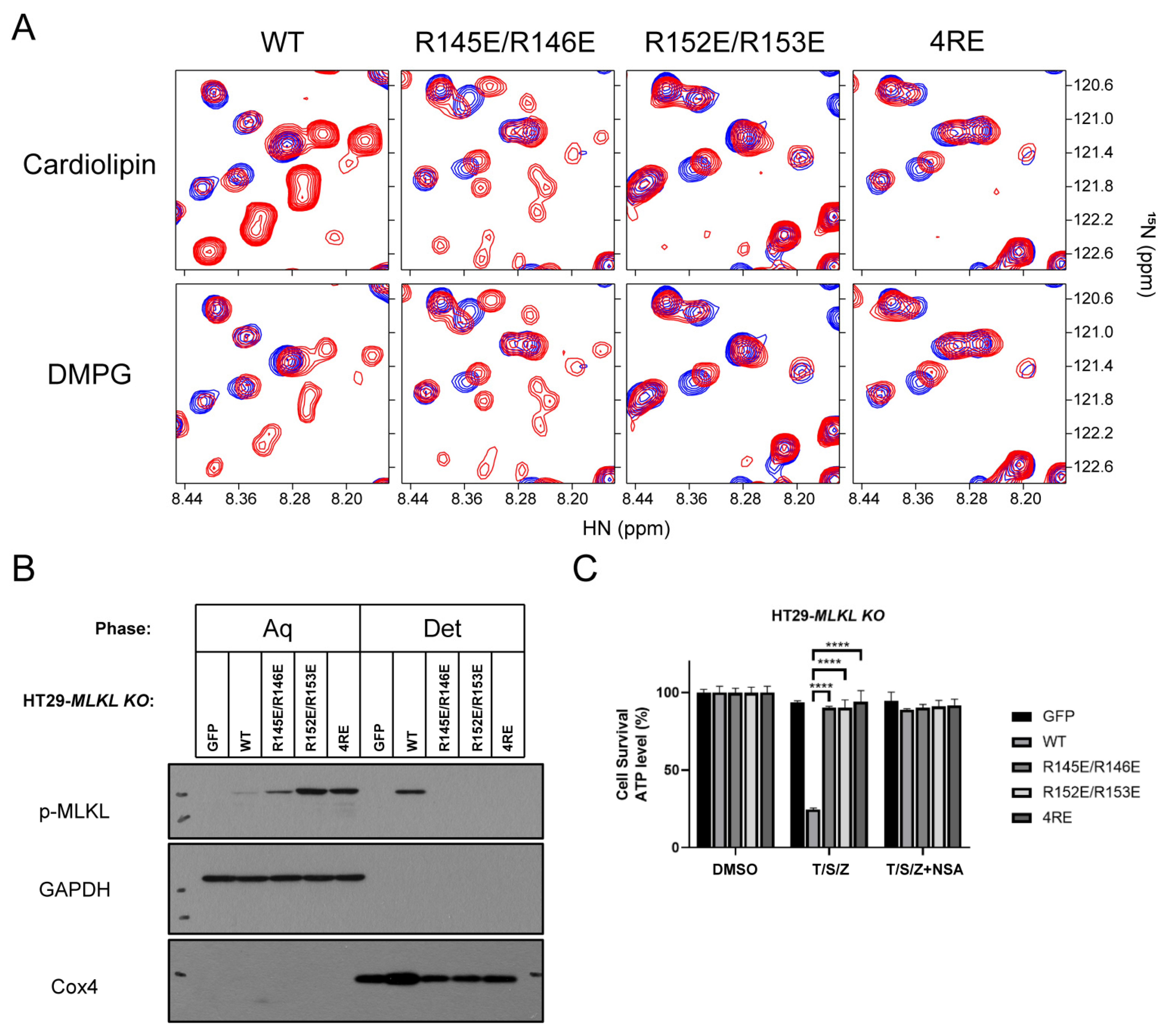 Molecules 26 05194 g004
