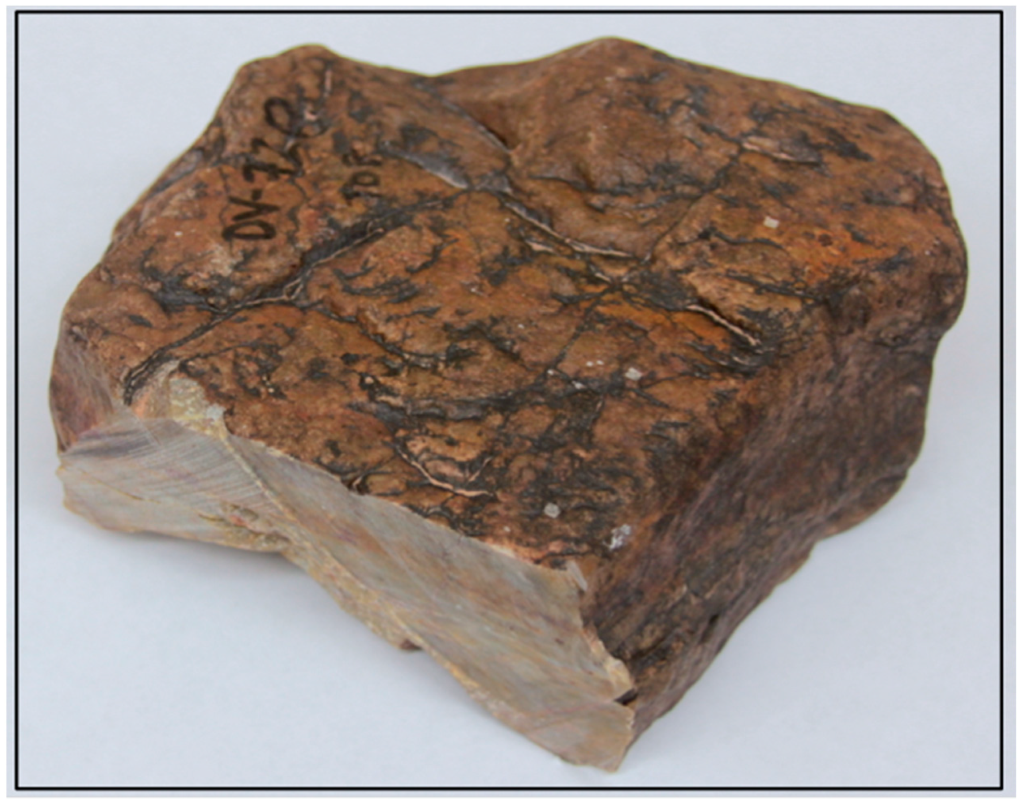 Molecules 26 05200 g002