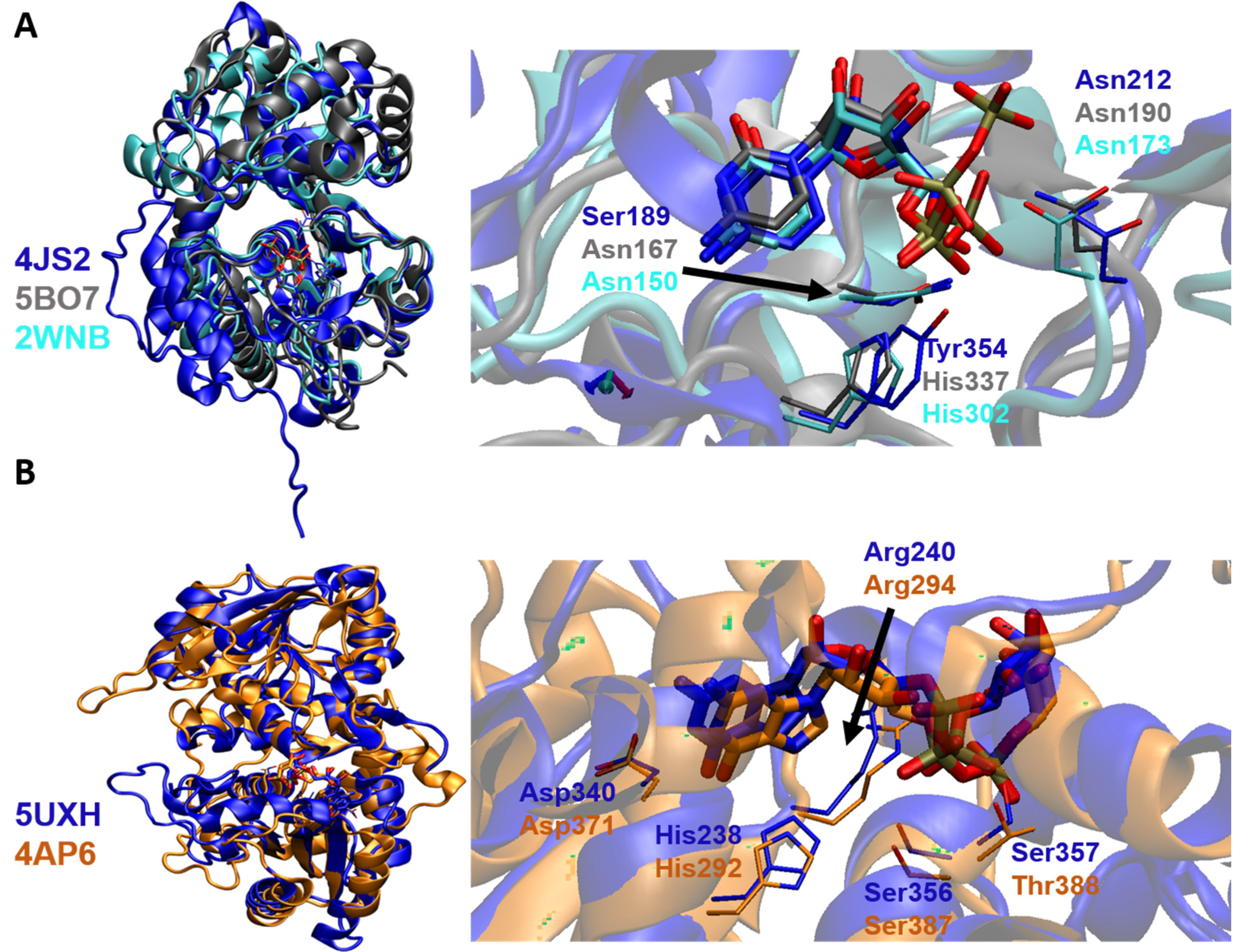 Molecules 26 05203 g006