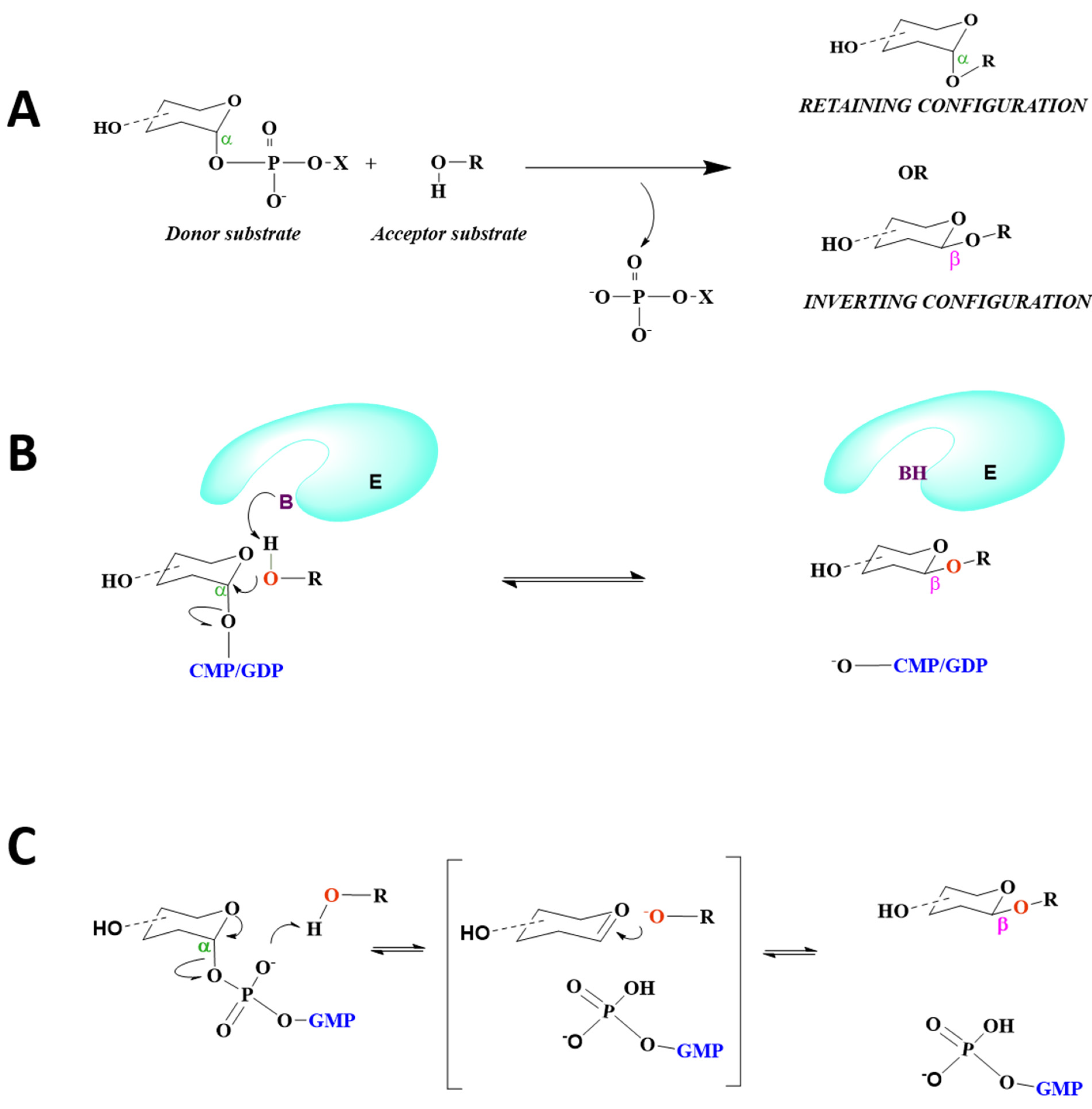 Molecules 26 05203 g010