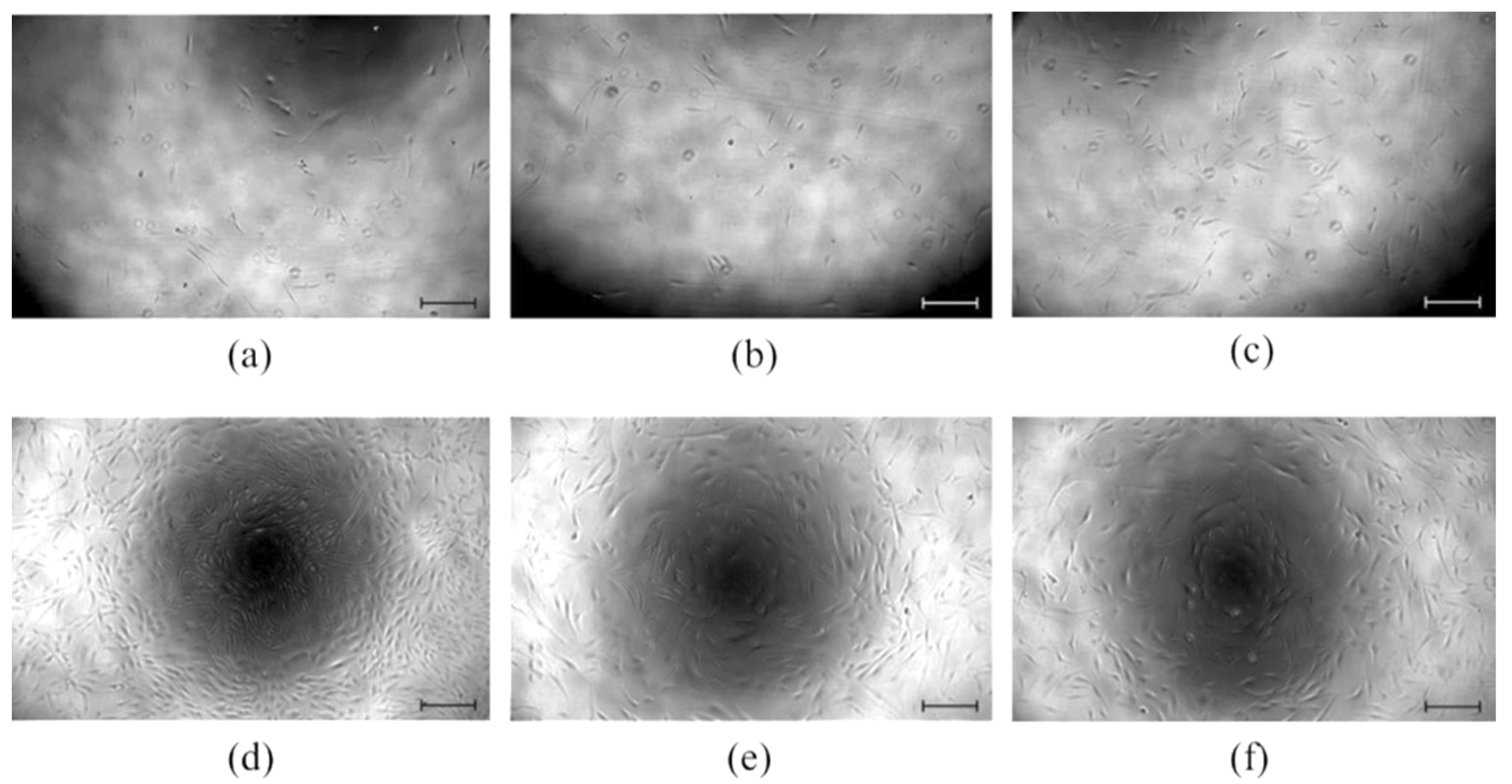 Molecules 26 05207 g005