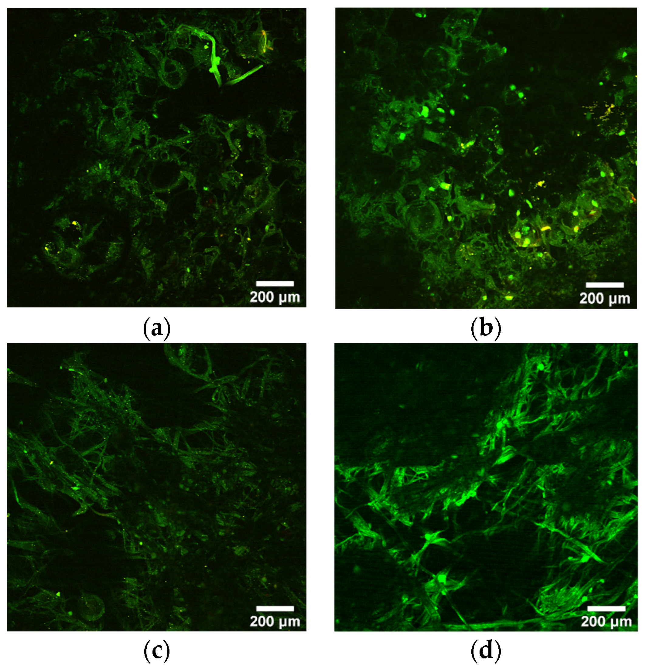 Molecules 26 05207 g006
