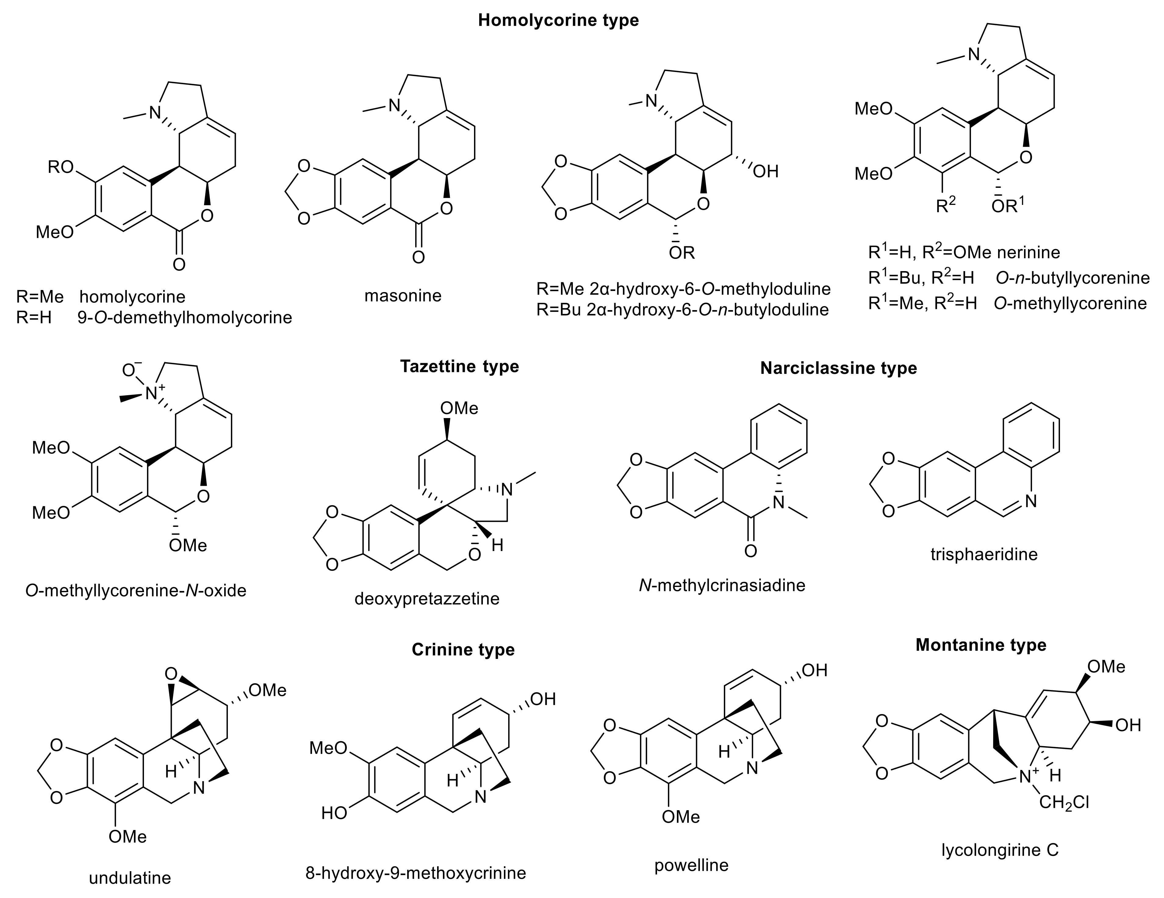 Molecules 26 05240 g005