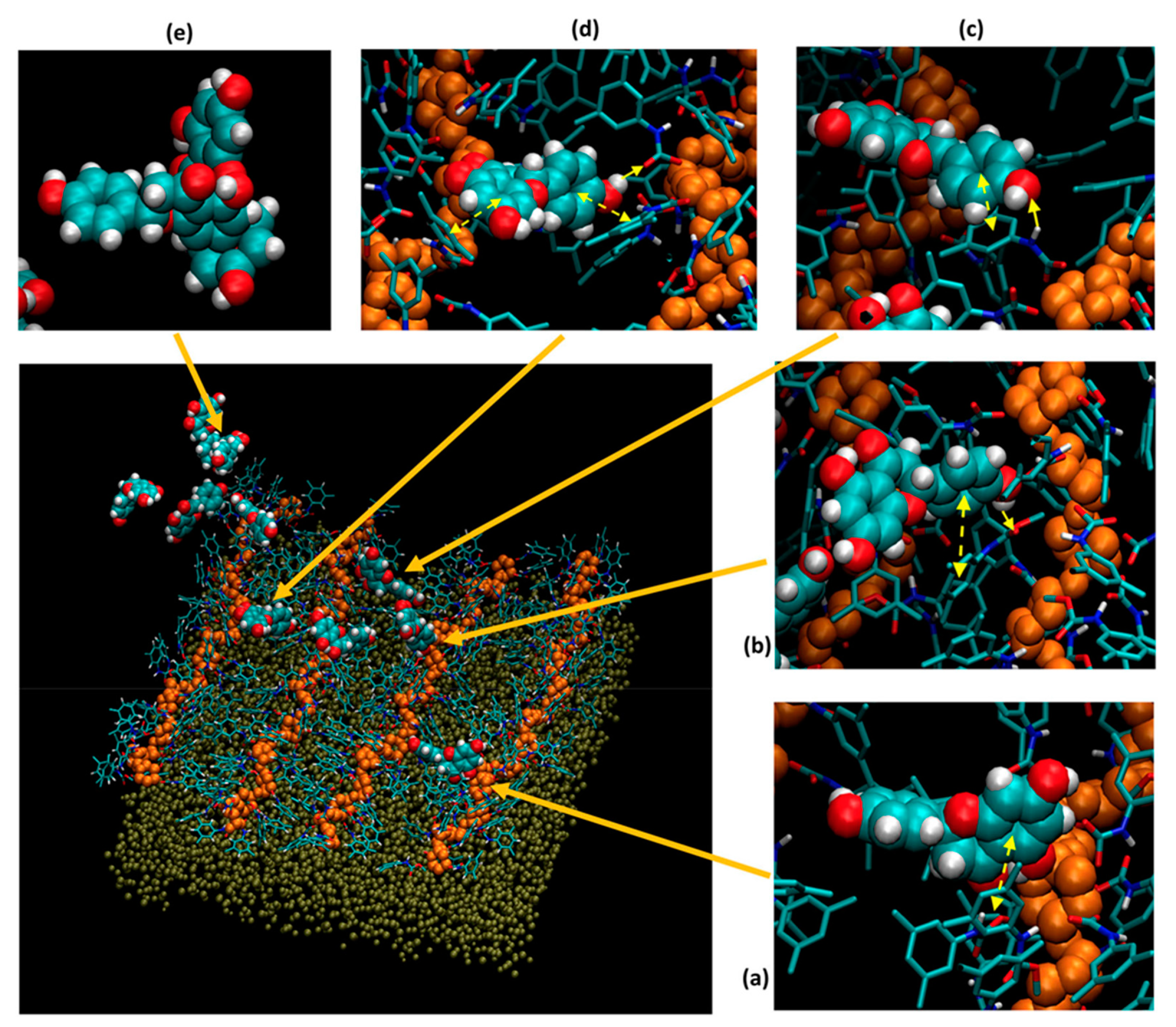 Molecules 26 05241 g005