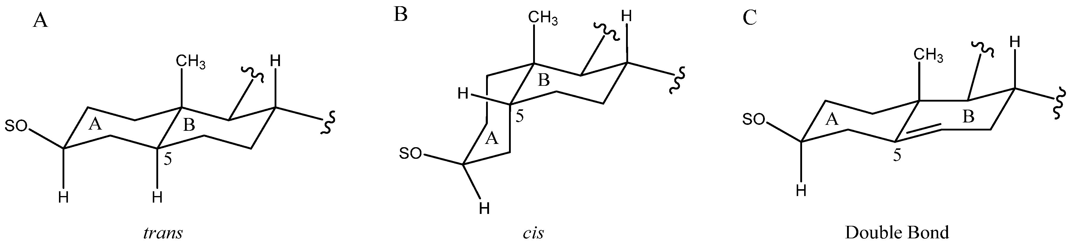 Molecules 26 05251 g003