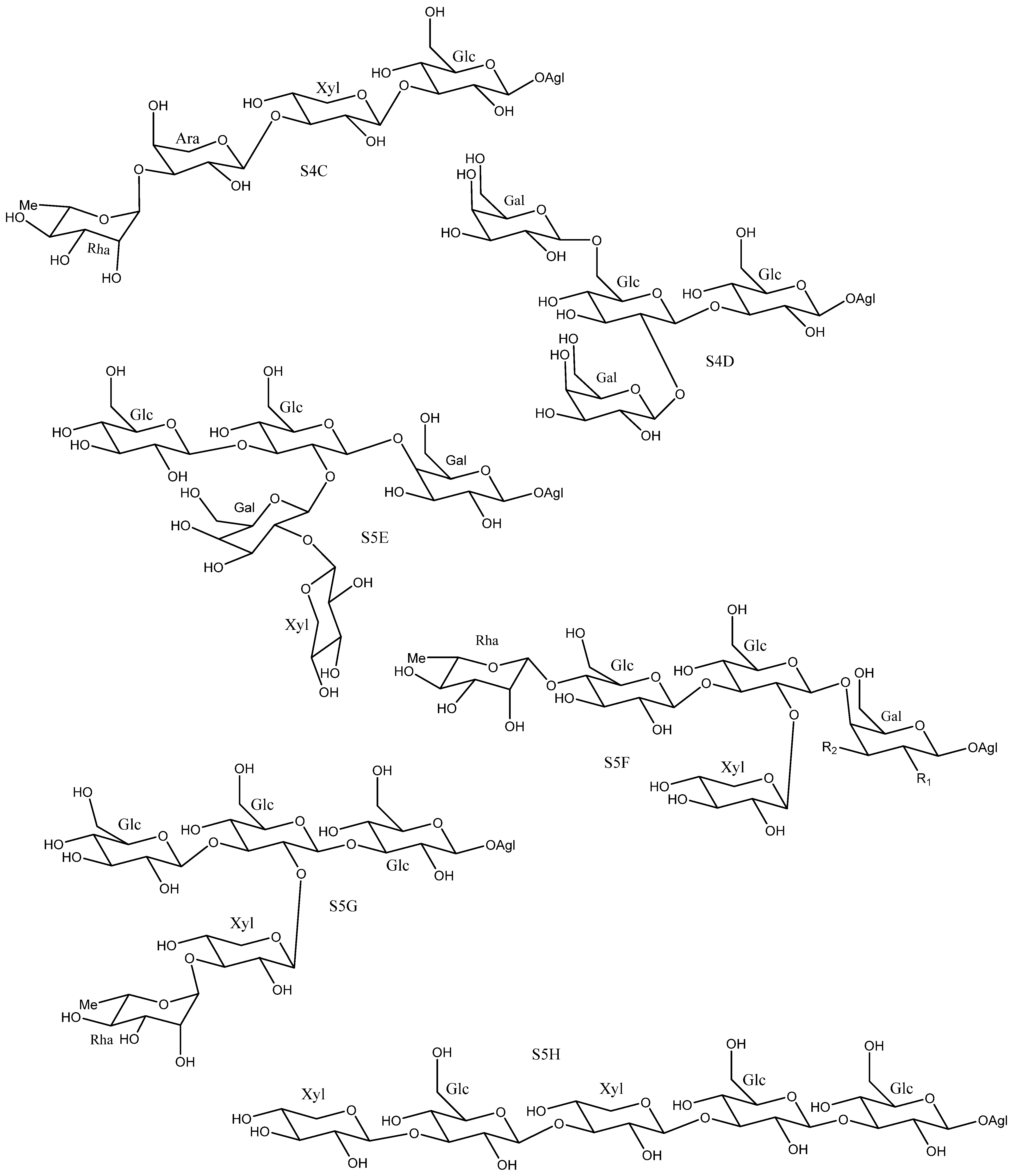 Molecules 26 05251 g008