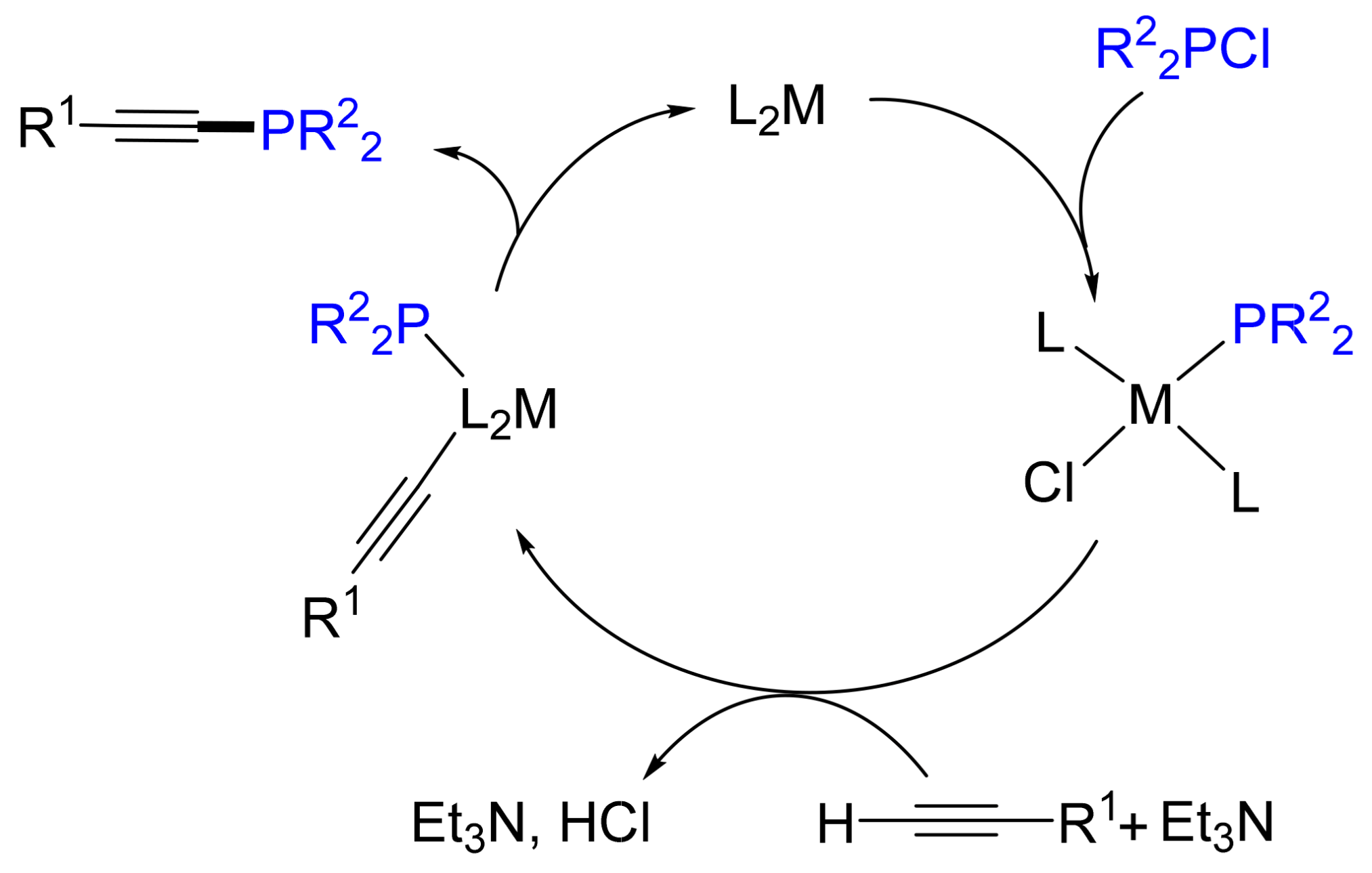 Molecules 26 05283 g004 Molecules 26 05283 g004