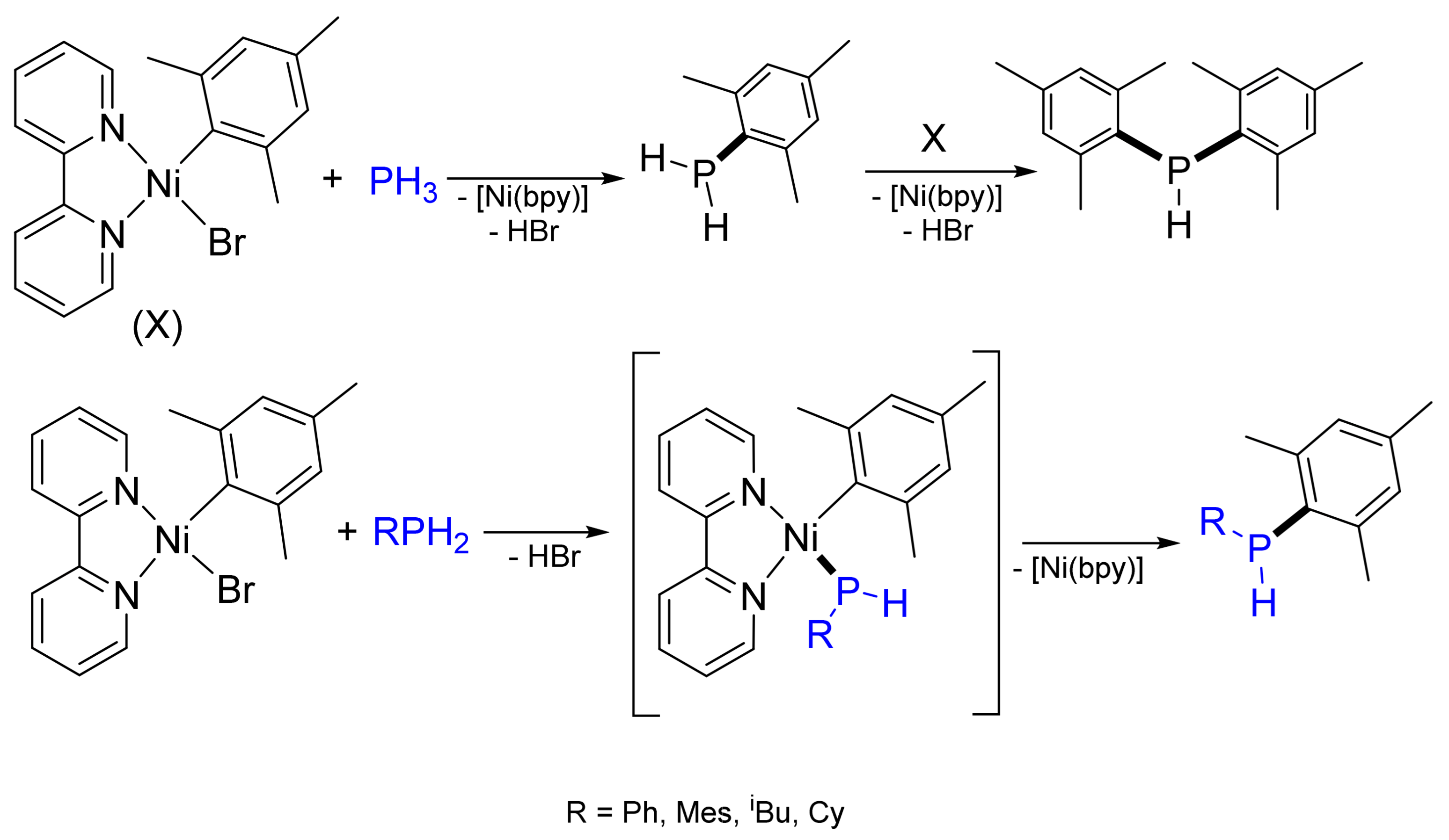 Molecules 26 05283 g011 Molecules 26 05283 g011