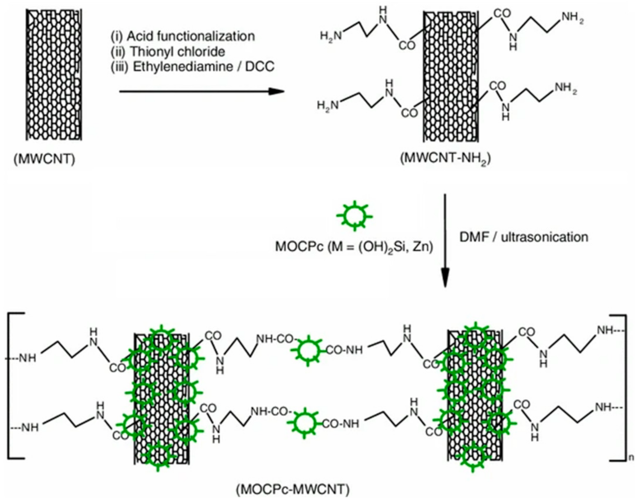 Molecules 26 05286 g004 Molecules 26 05286 g004