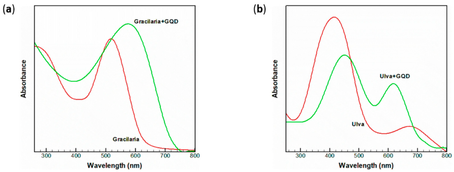 Molecules 26 05286 g007 Molecules 26 05286 g007