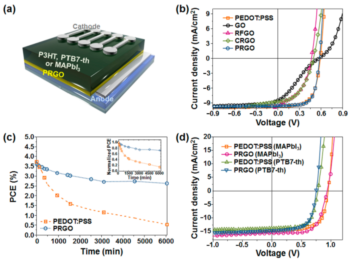 Molecules 26 05286 g013 Molecules 26 05286 g013