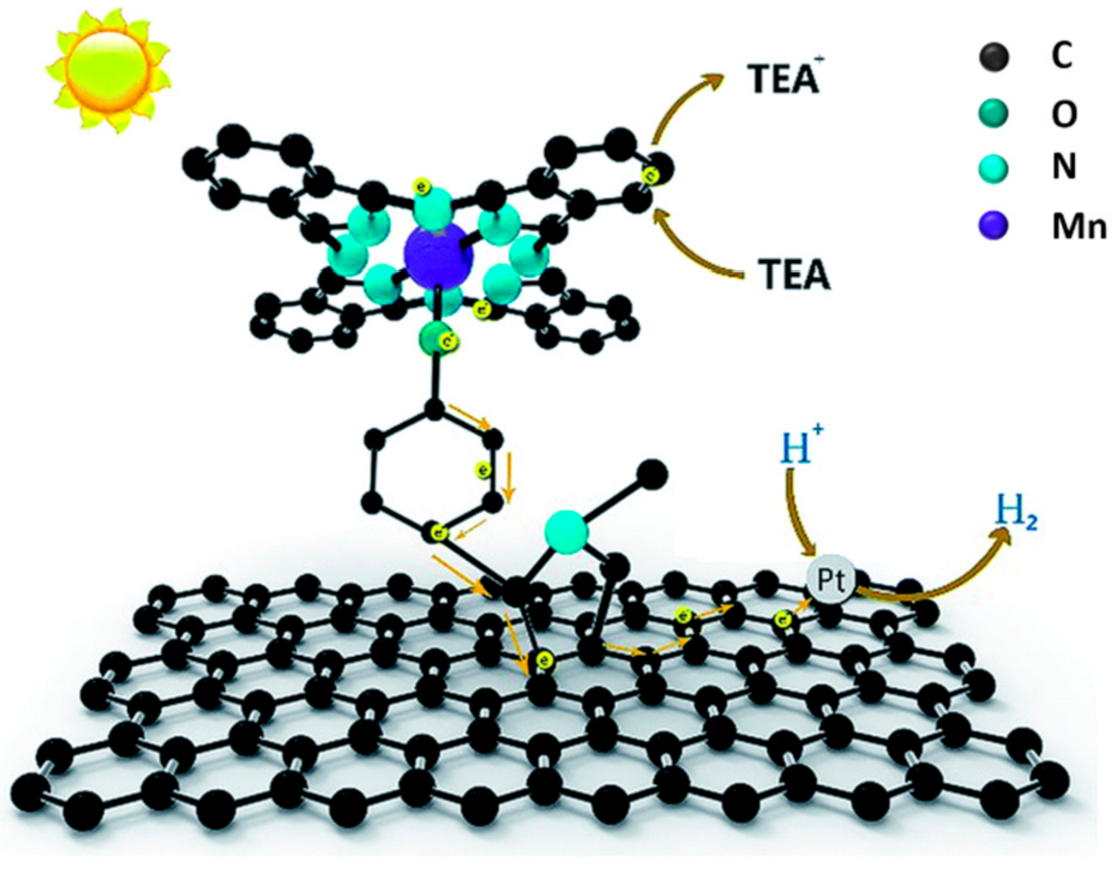Molecules 26 05286 g023 Molecules 26 05286 g023
