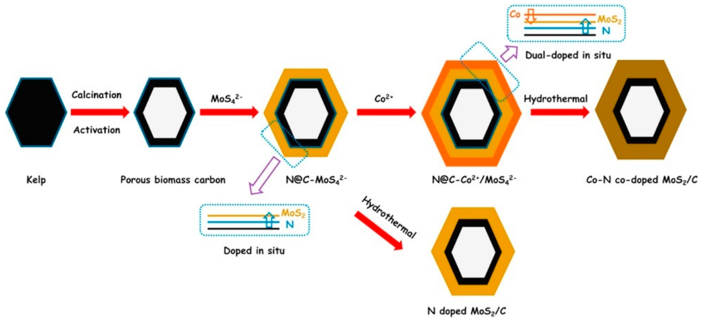 Molecules 26 05286 g025 Molecules 26 05286 g025