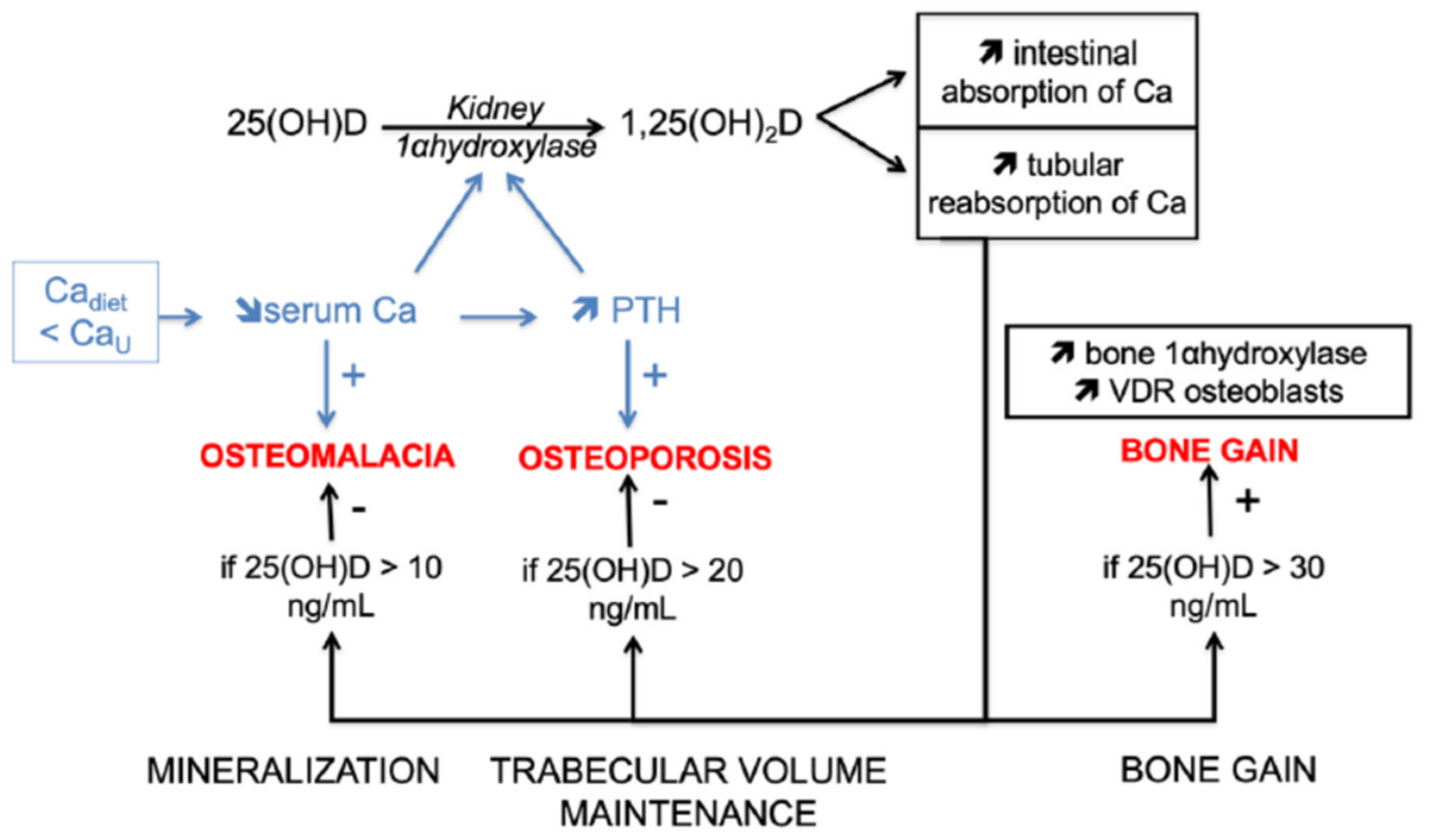 Molecules 26 05289 g001 Molecules 26 05289 g001