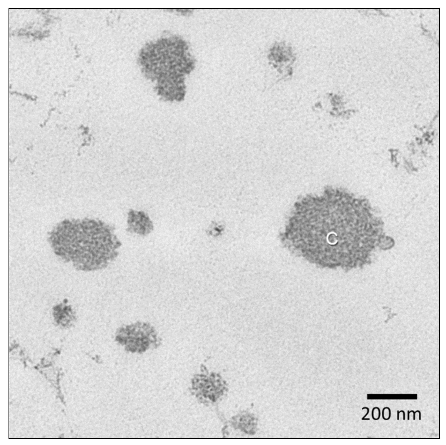 Molecules 26 05289 g003 Molecules 26 05289 g003