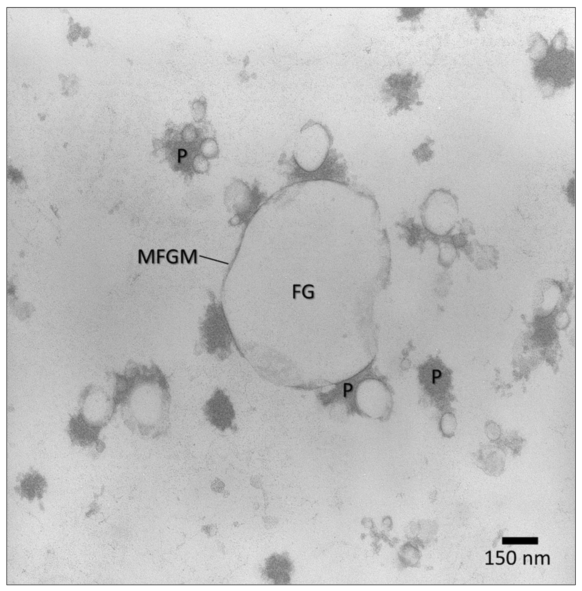 Molecules 26 05289 g005 Molecules 26 05289 g005