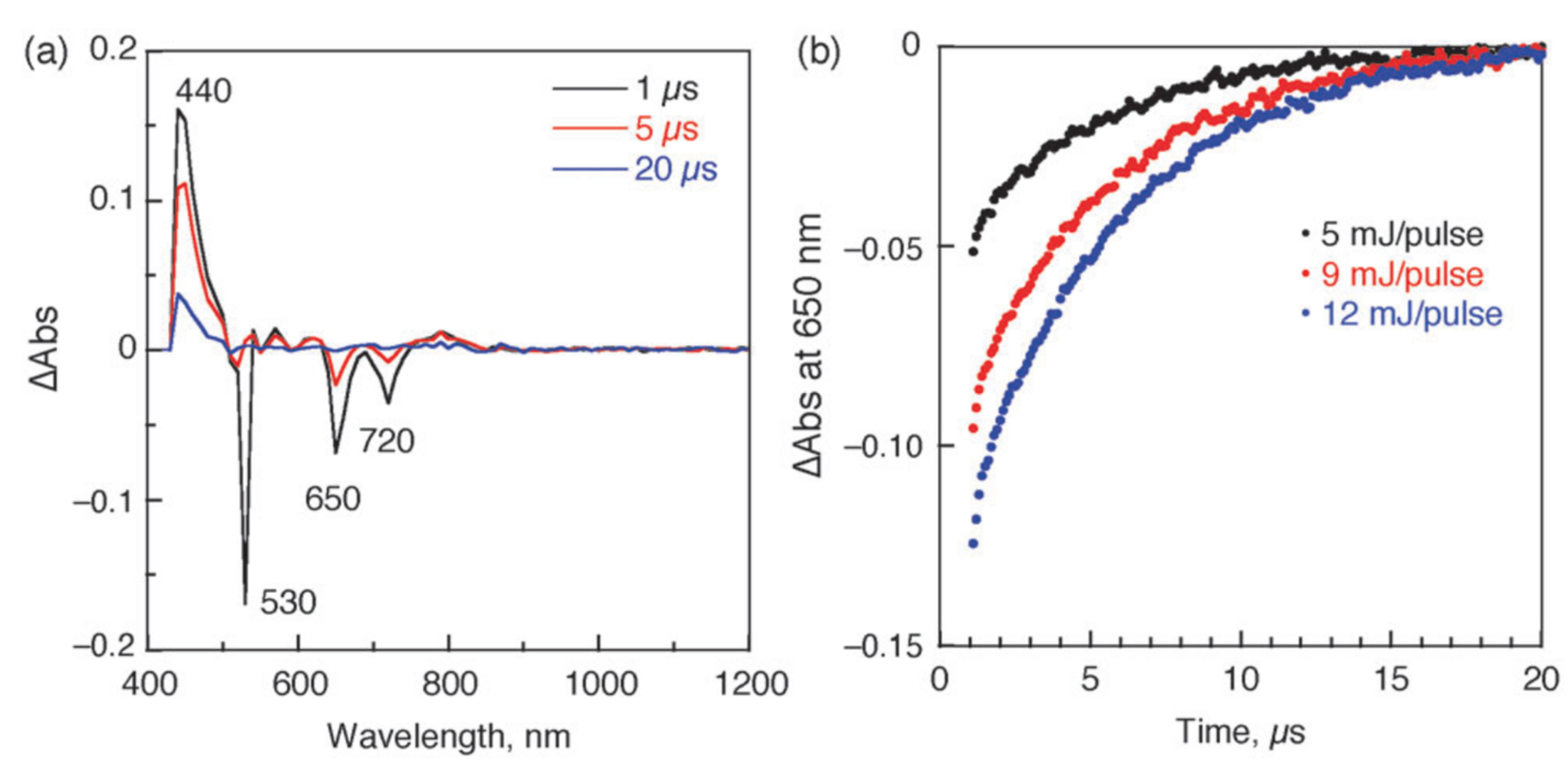 Molecules 26 05292 g012