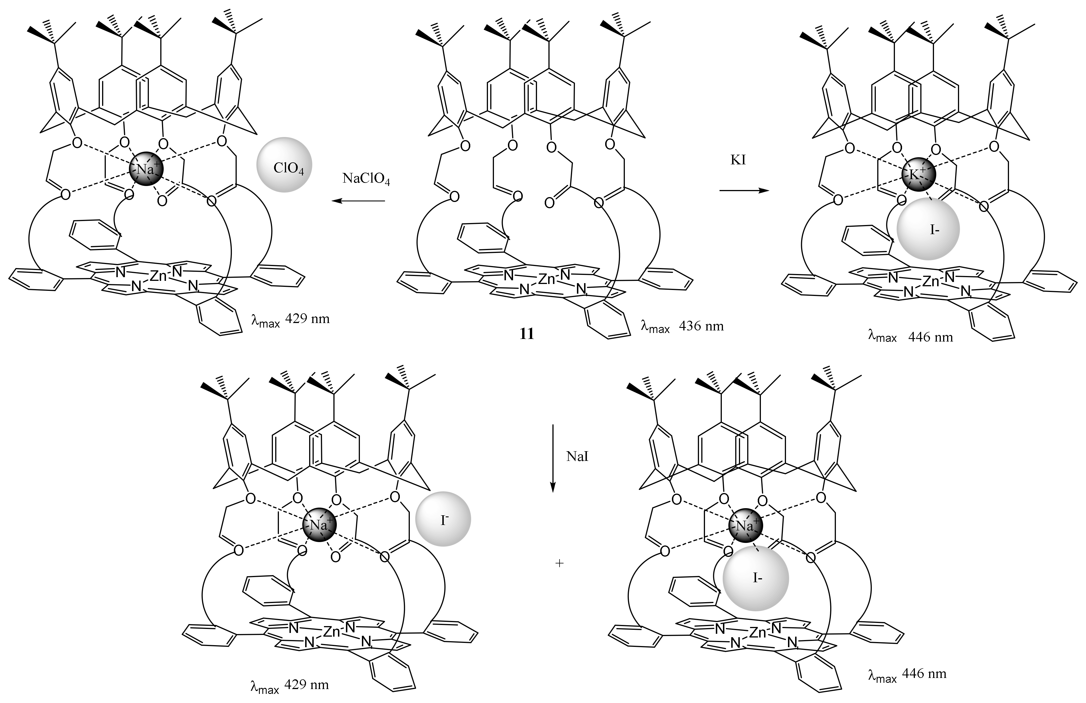 Molecules 26 05292 sch003
