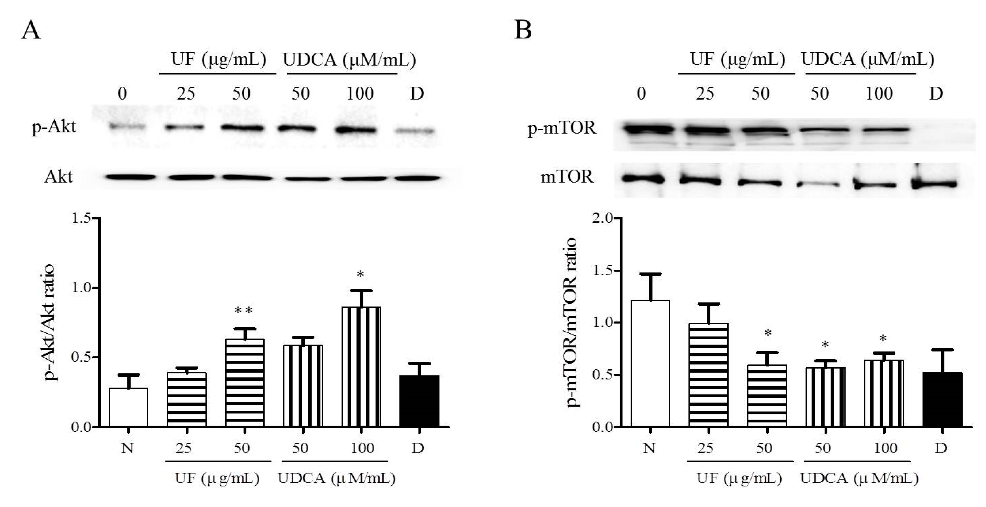 Molecules 26 05309 g005