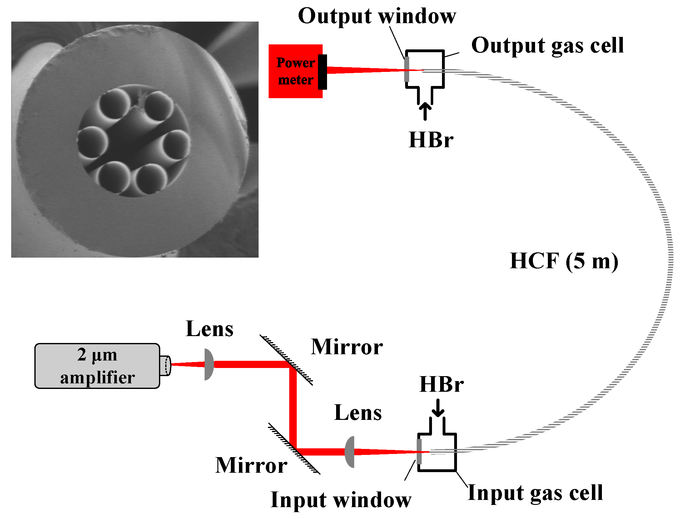 Molecules 26 05323 g006