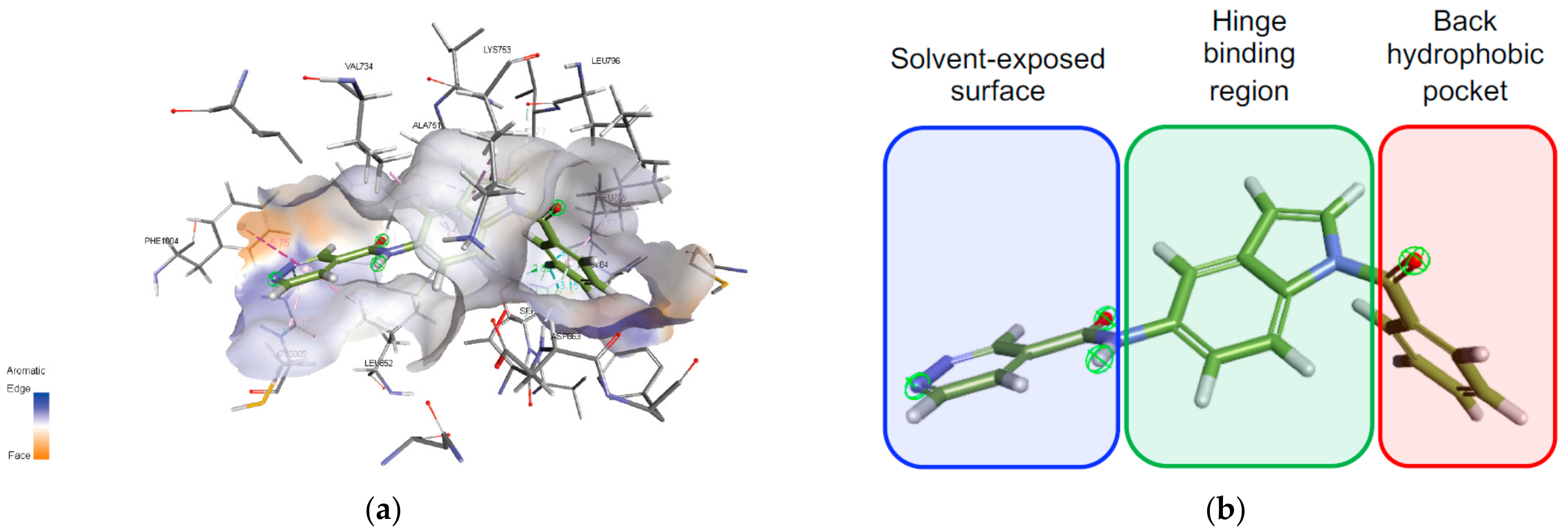 Molecules 26 05324 g005