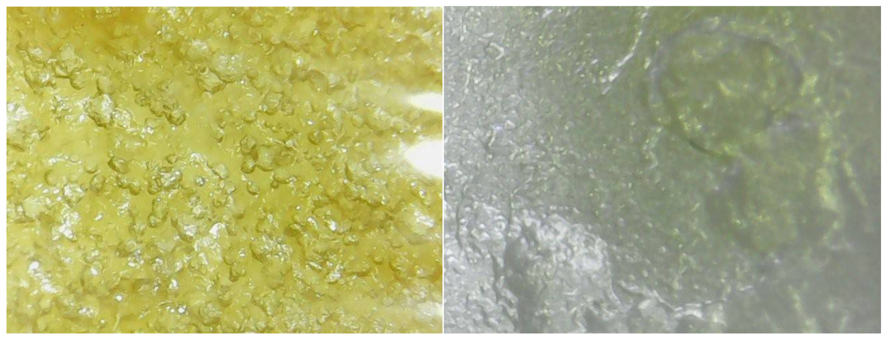 Molecules 26 05326 g006