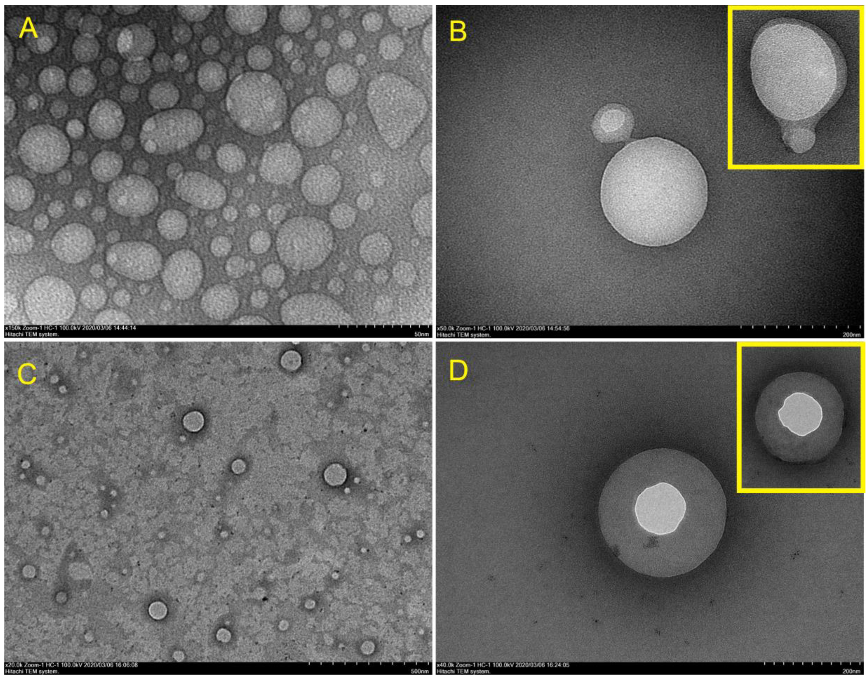 Molecules 26 05326 g007