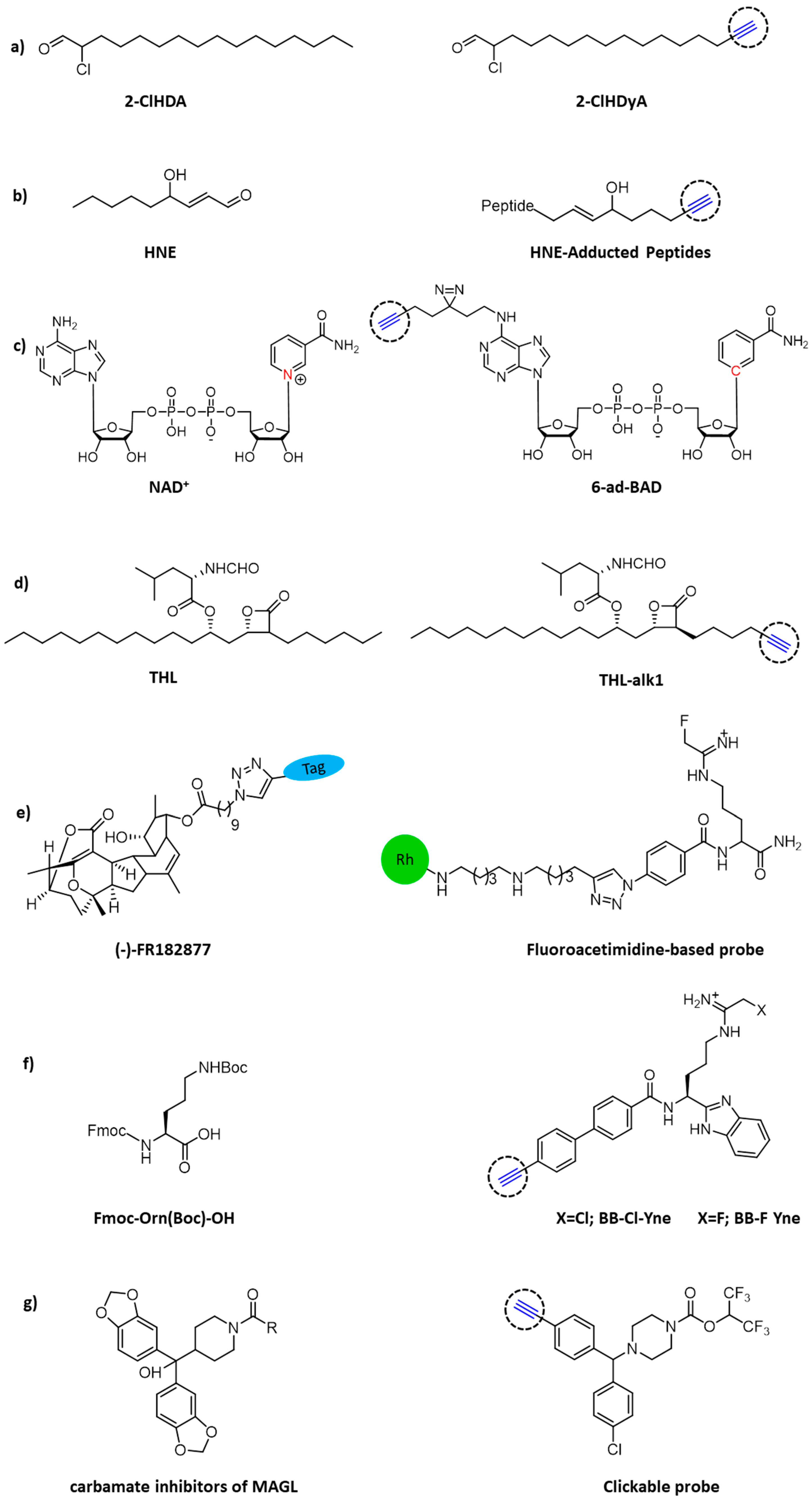 Molecules 26 05368 g004