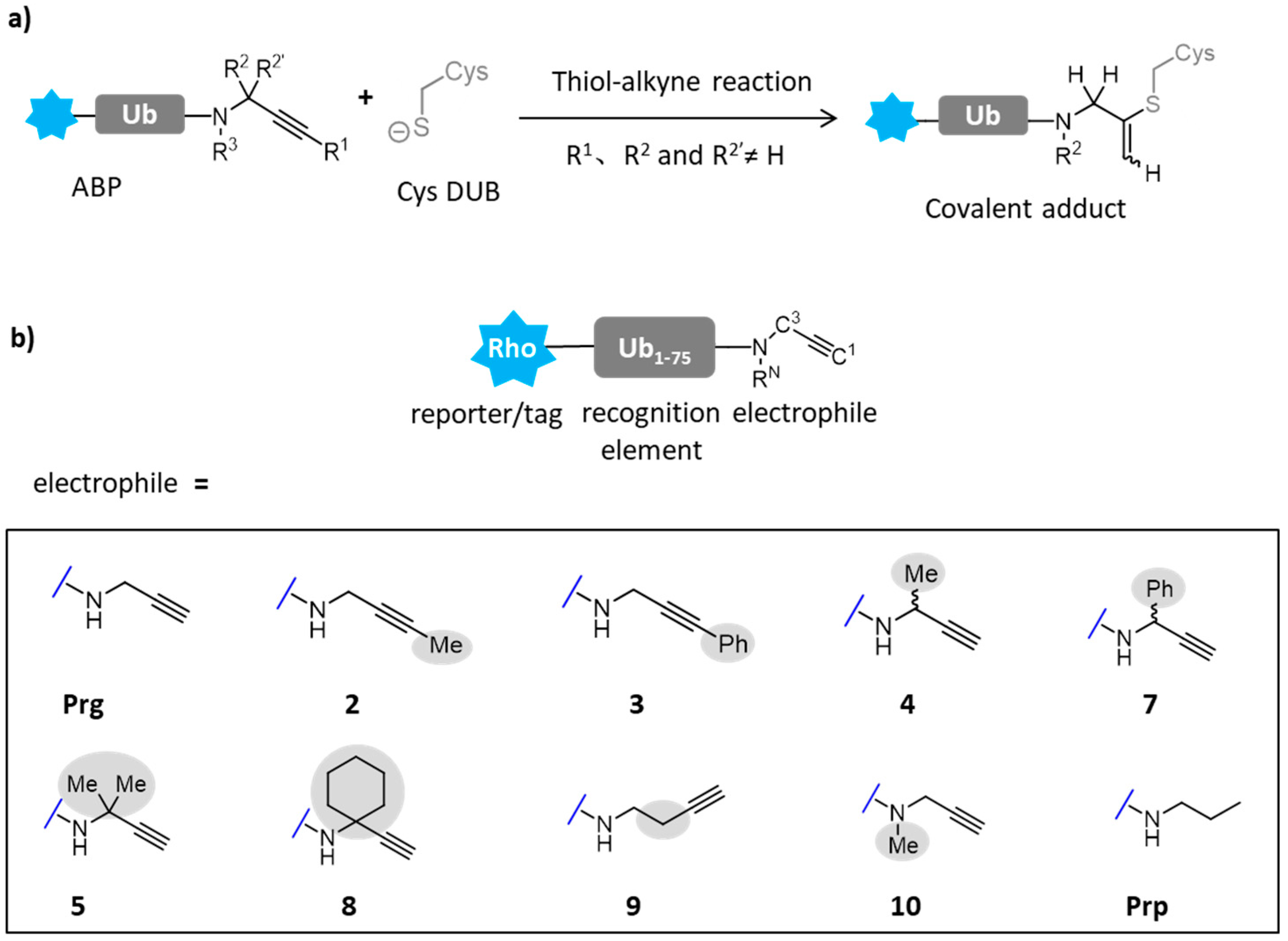 Molecules 26 05368 g009