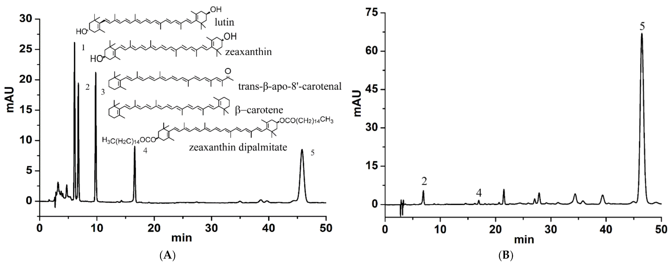Molecules 26 05374 g001