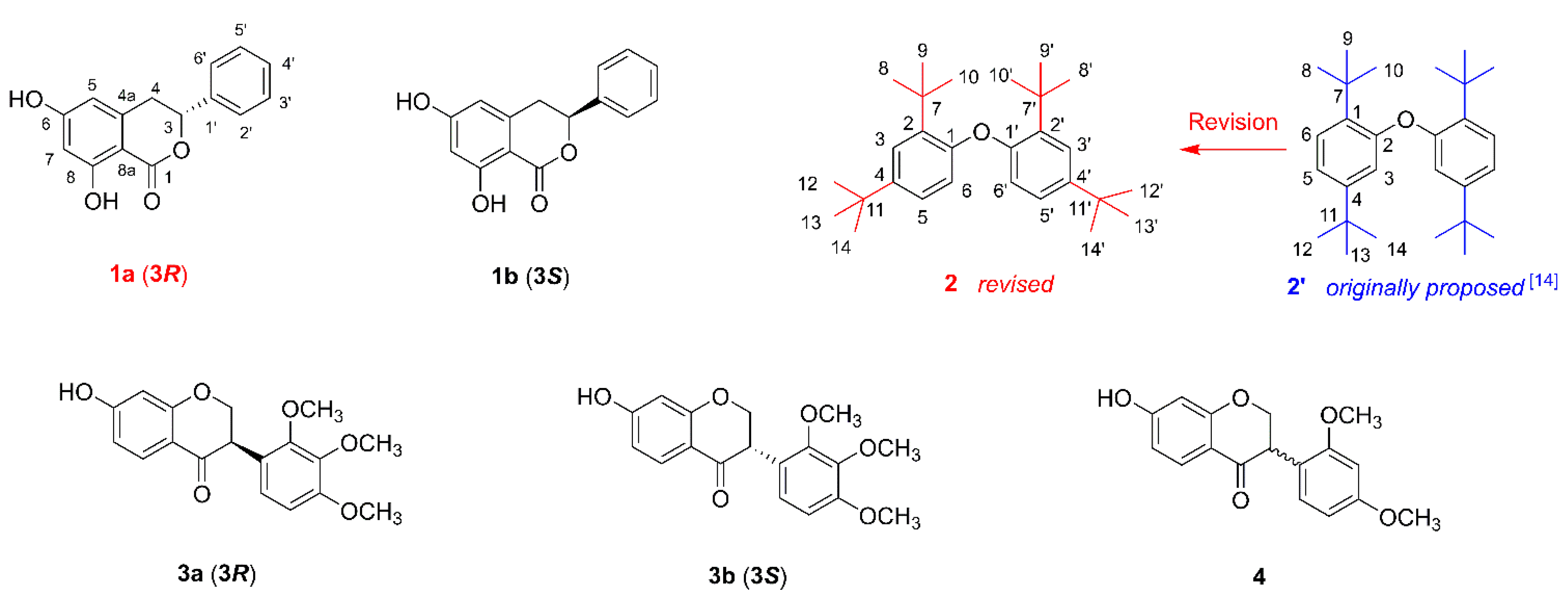 Molecules 26 05381 g001