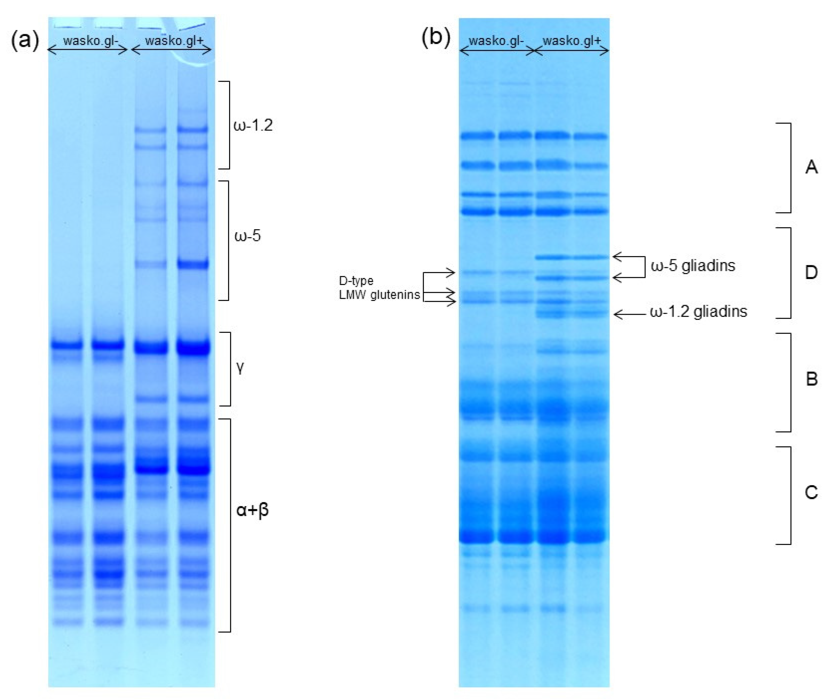Molecules Free Full Text Ft Raman Spectroscopy As A Tool To Study The Secondary Structures Of Wheat Gliadin Proteins Html