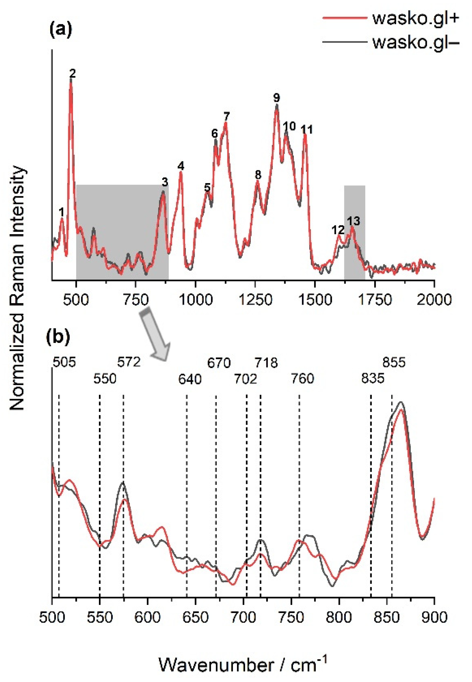 Molecules 26 05388 g003 Molecules 26 05388 g003