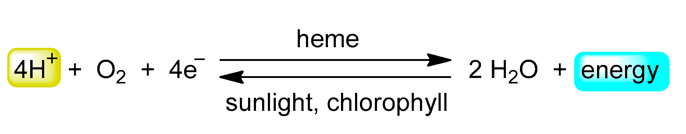Molecules 26 05390 sch001