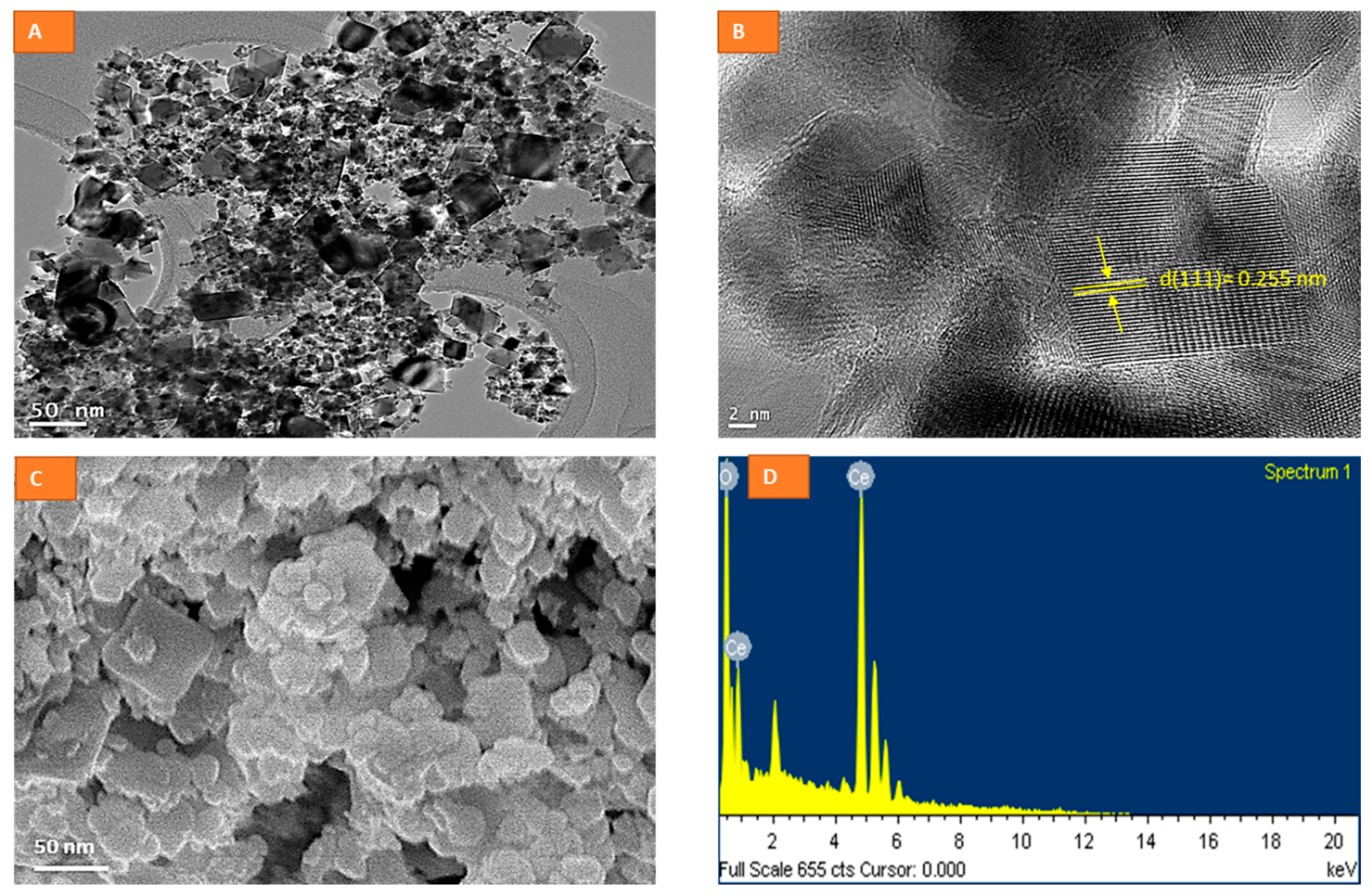 Molecules 26 05416 g001