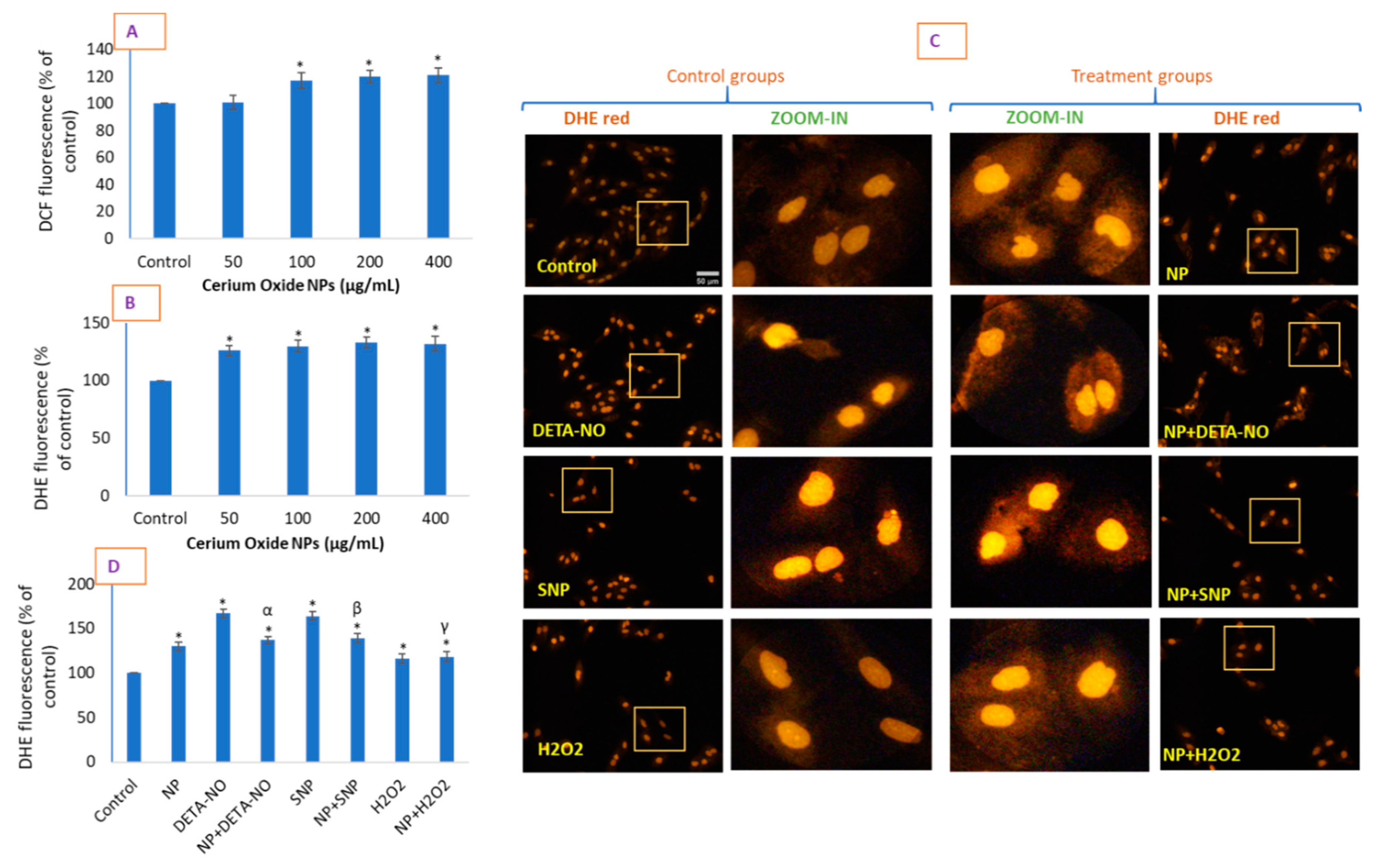 Molecules 26 05416 g004