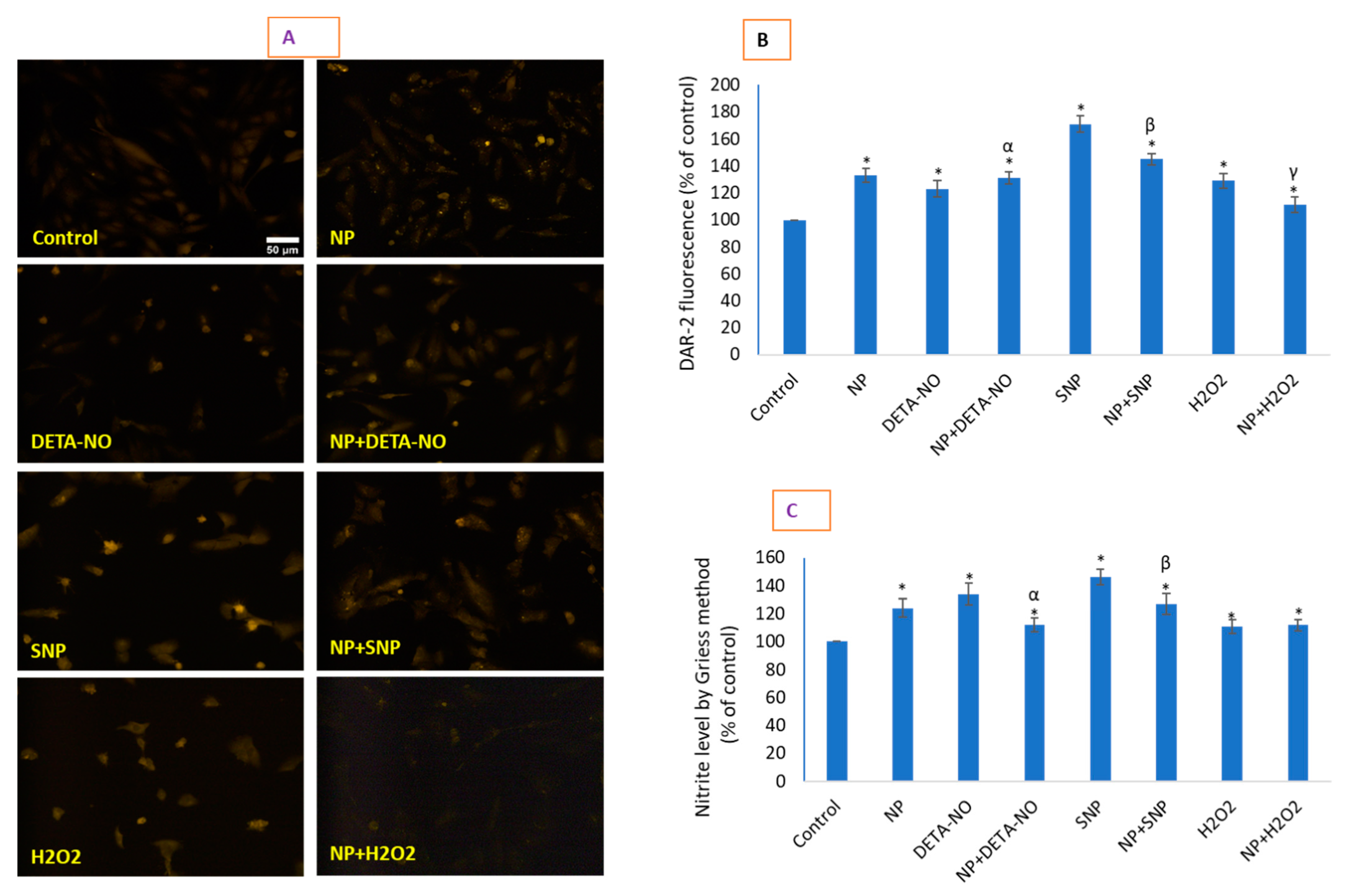 Molecules 26 05416 g005