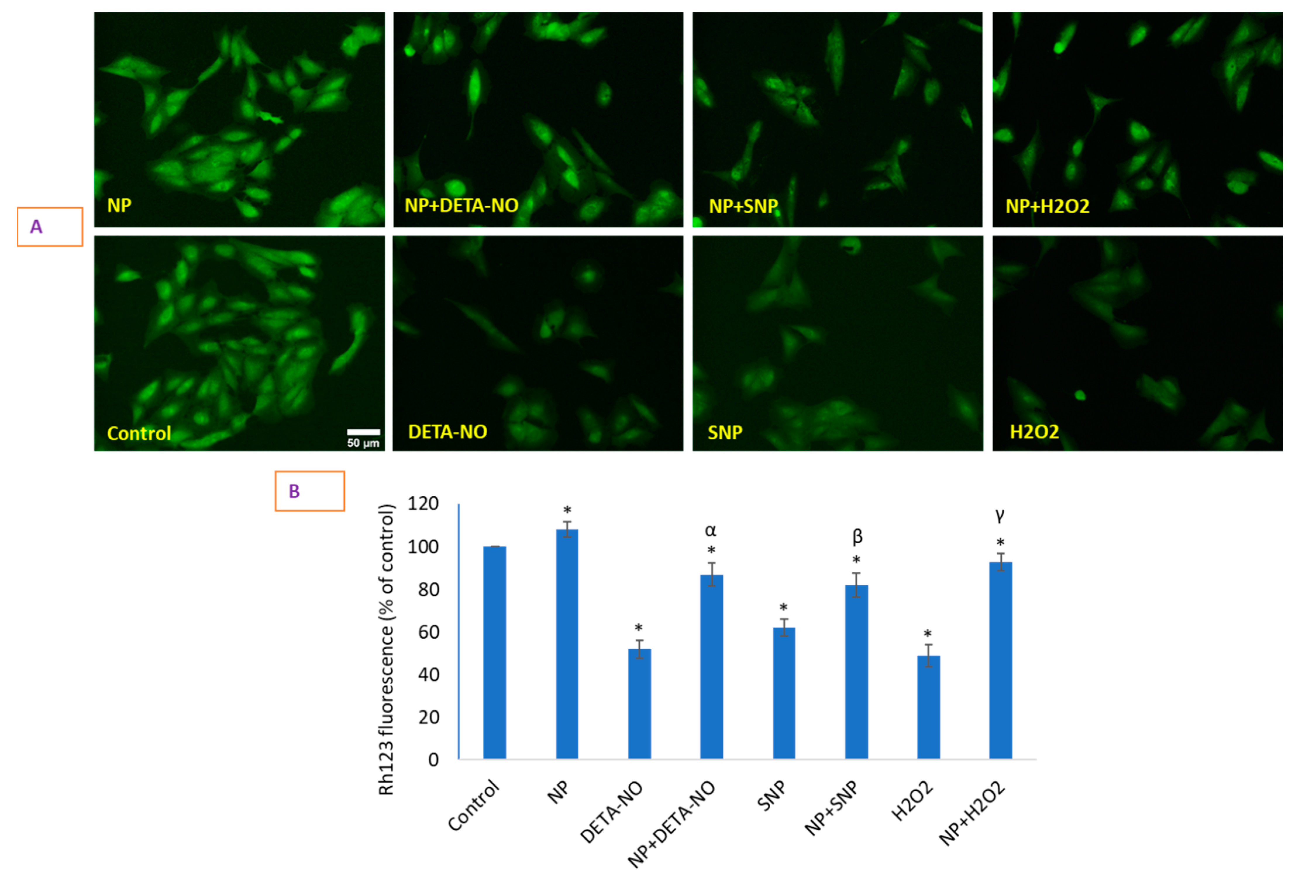 Molecules 26 05416 g006