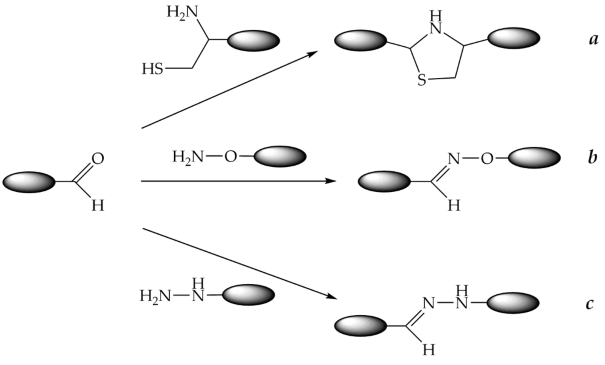 Molecules 26 05420 g012