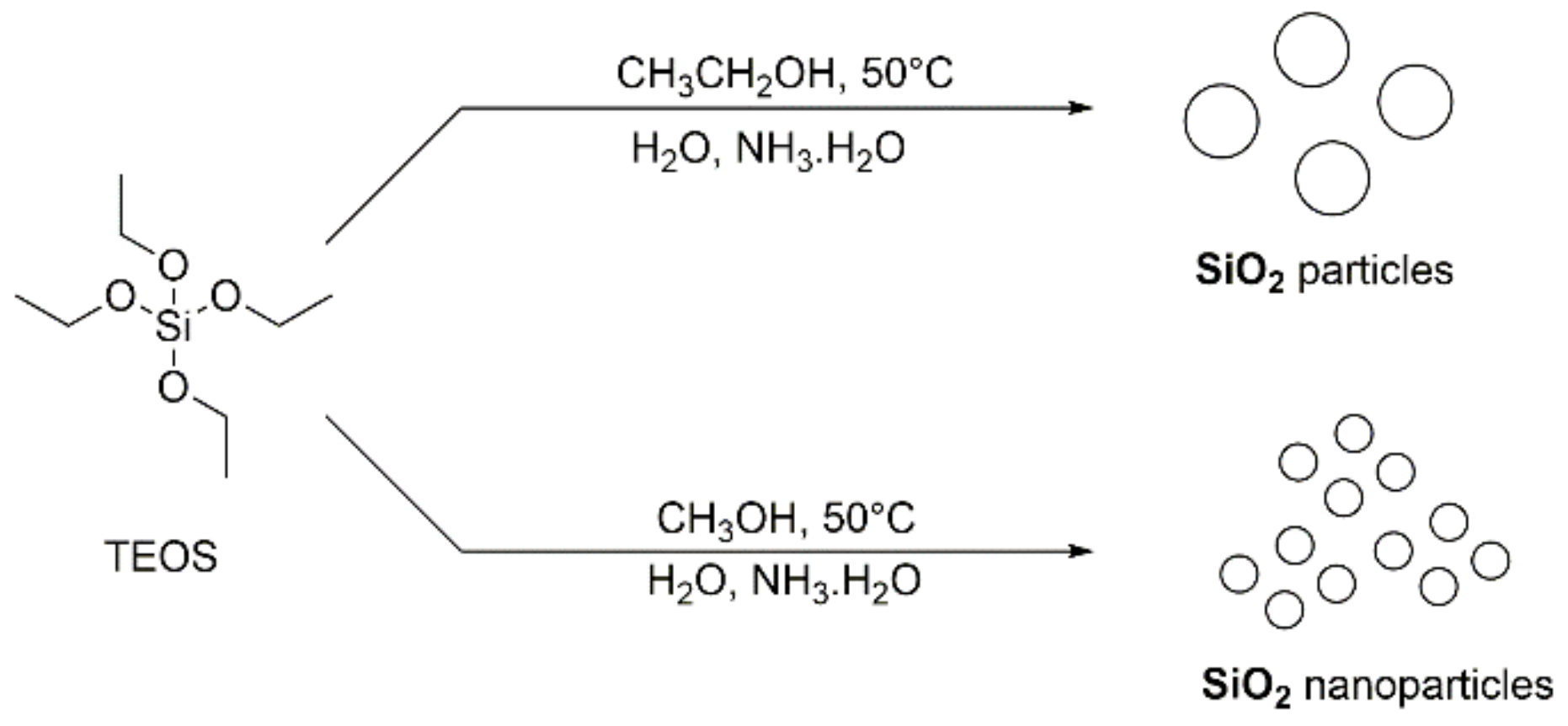 Molecules 26 05435 g003