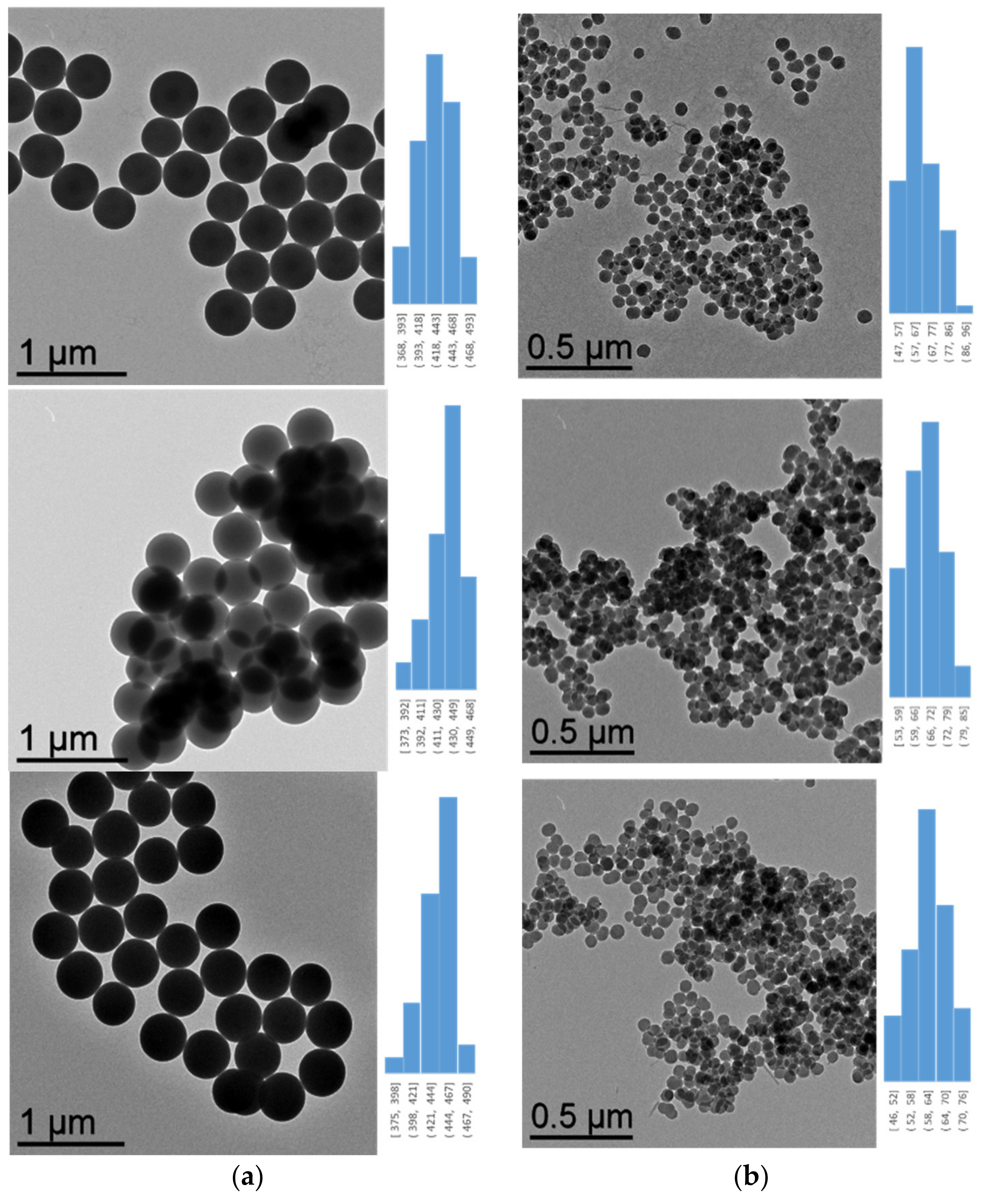 Molecules 26 05435 g005