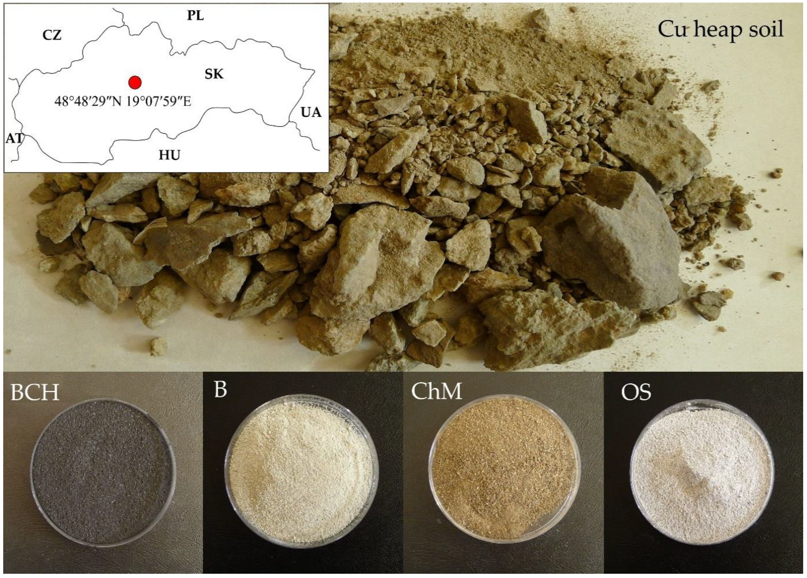 Molecules 26 05449 g006