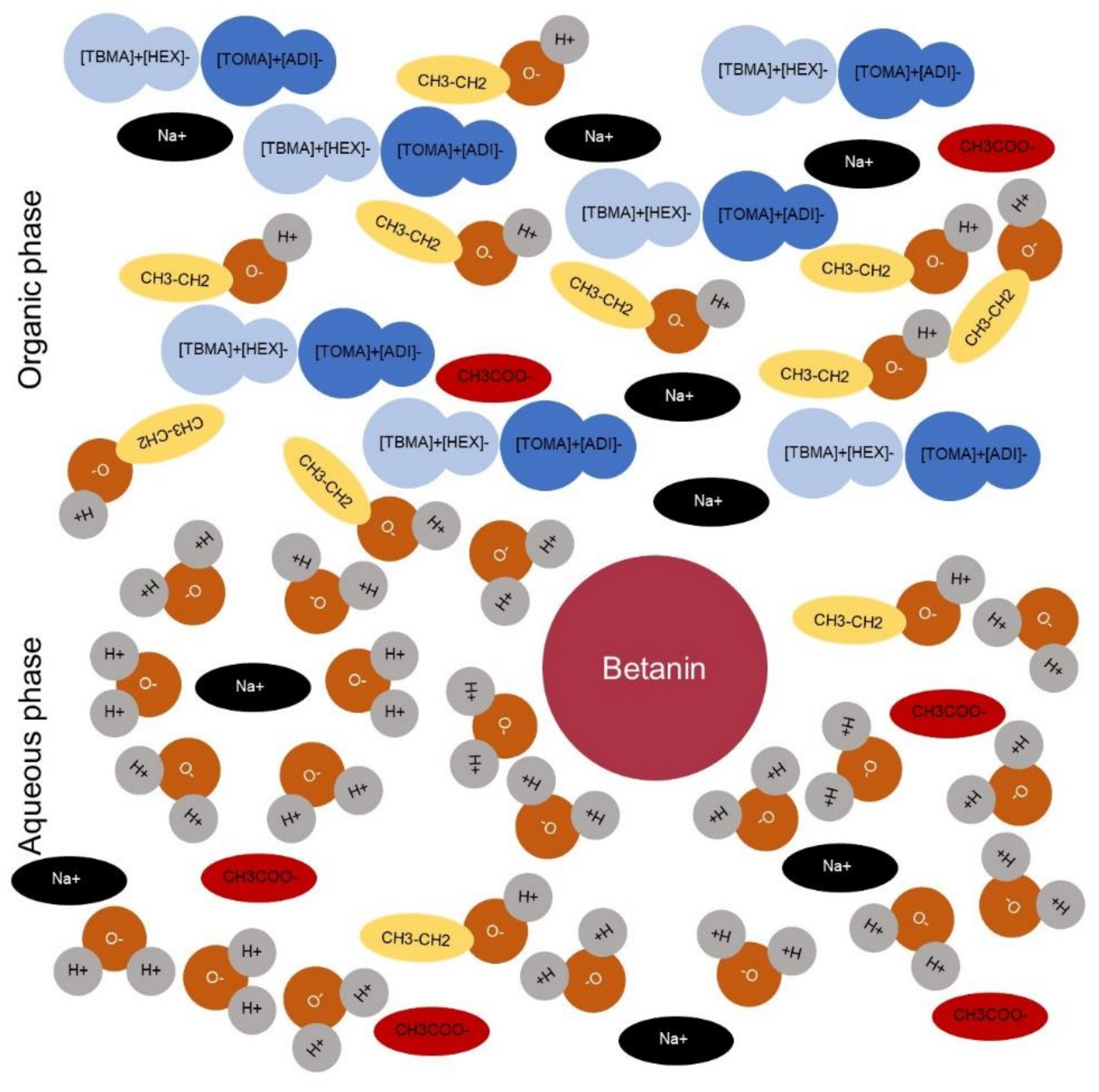 Molecules 26 05458 g006