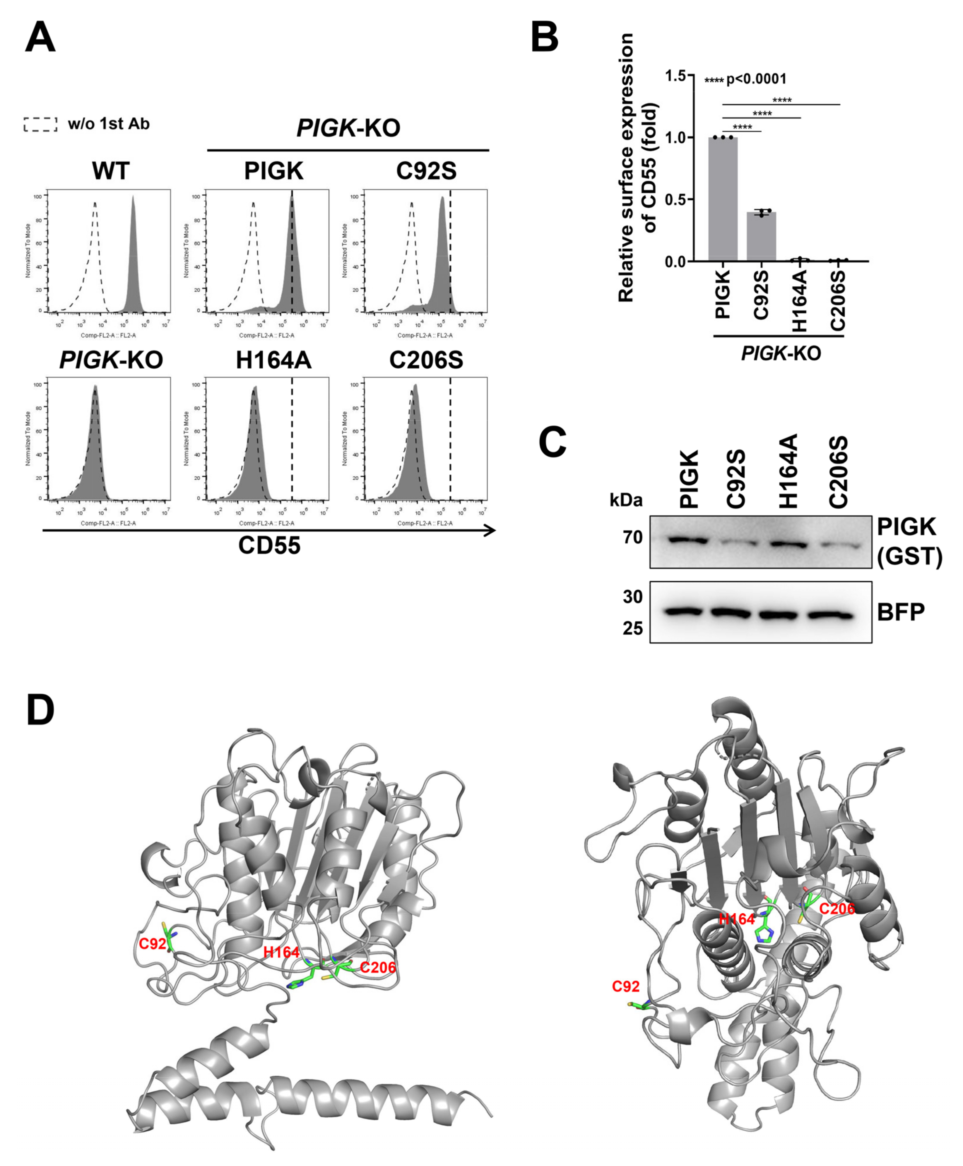 Molecules 26 05462 g002