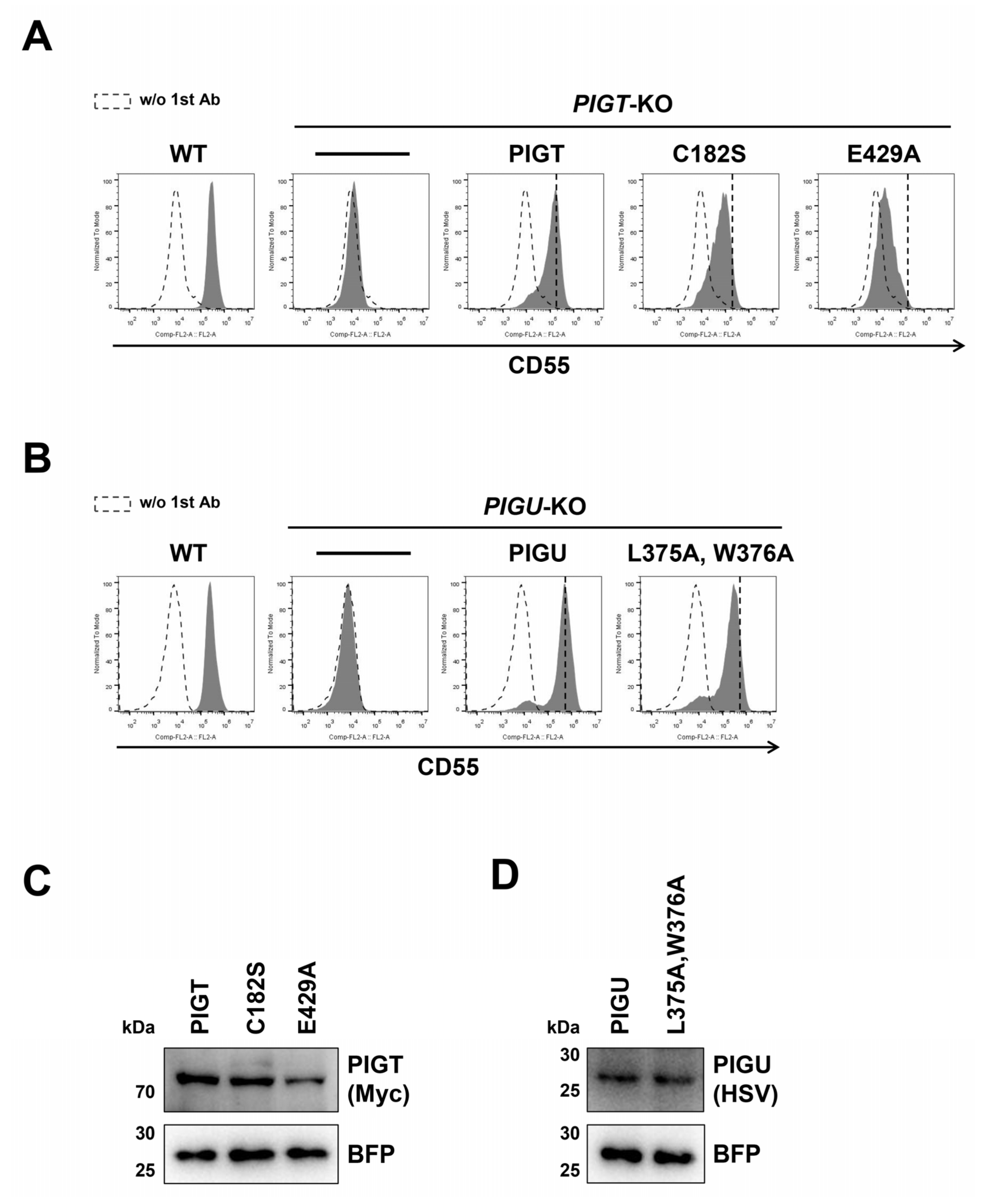 Molecules 26 05462 g004
