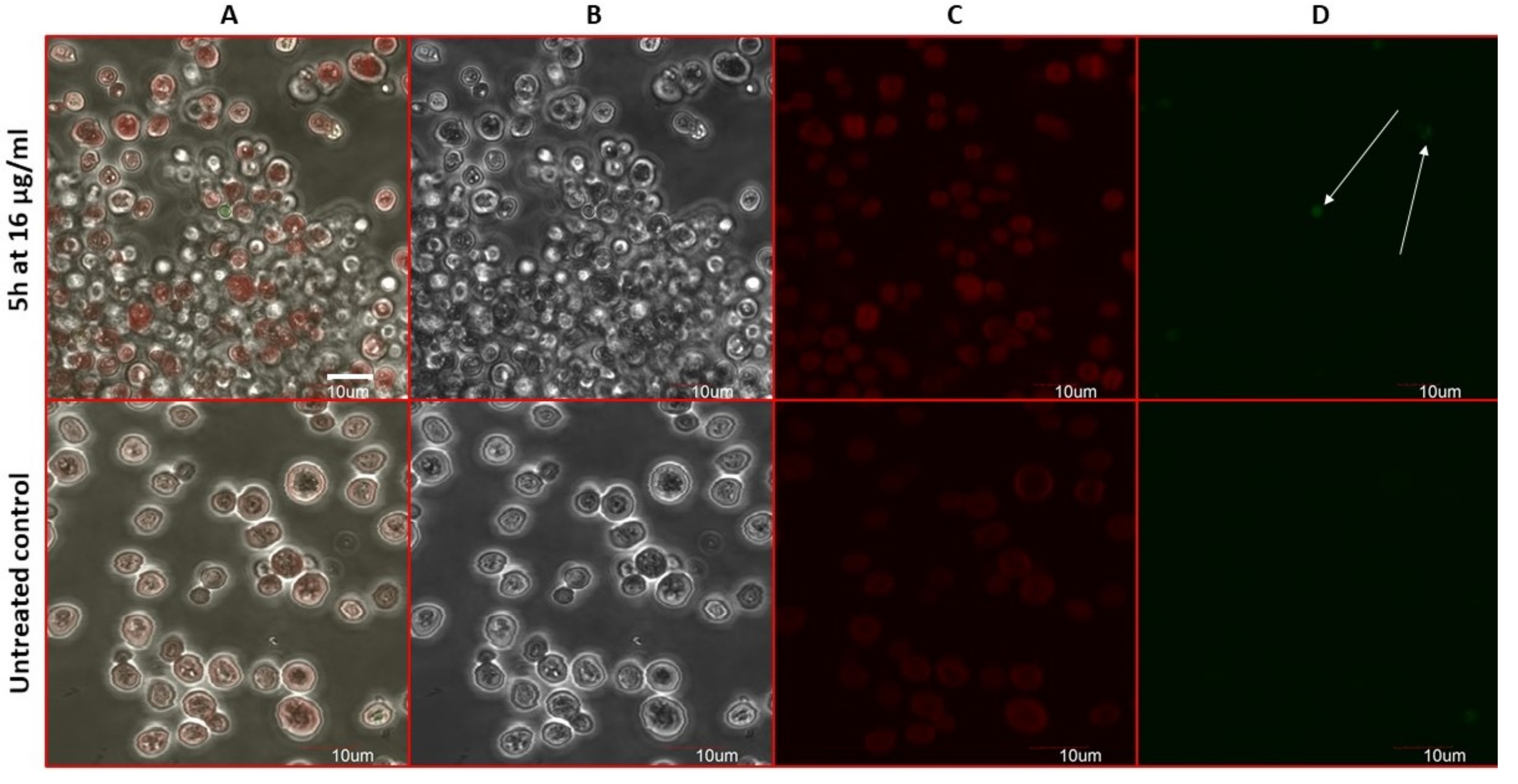 Molecules 26 05463 g010