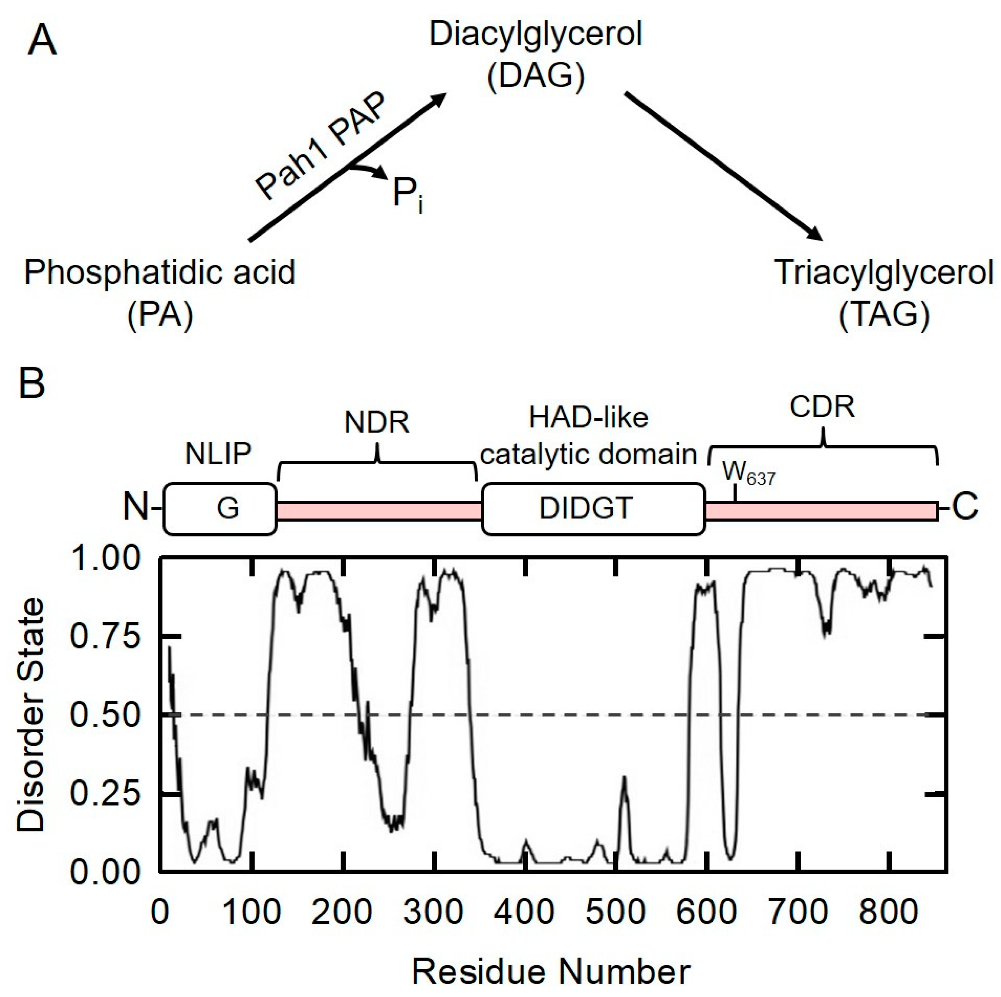Molecules 26 05470 g001